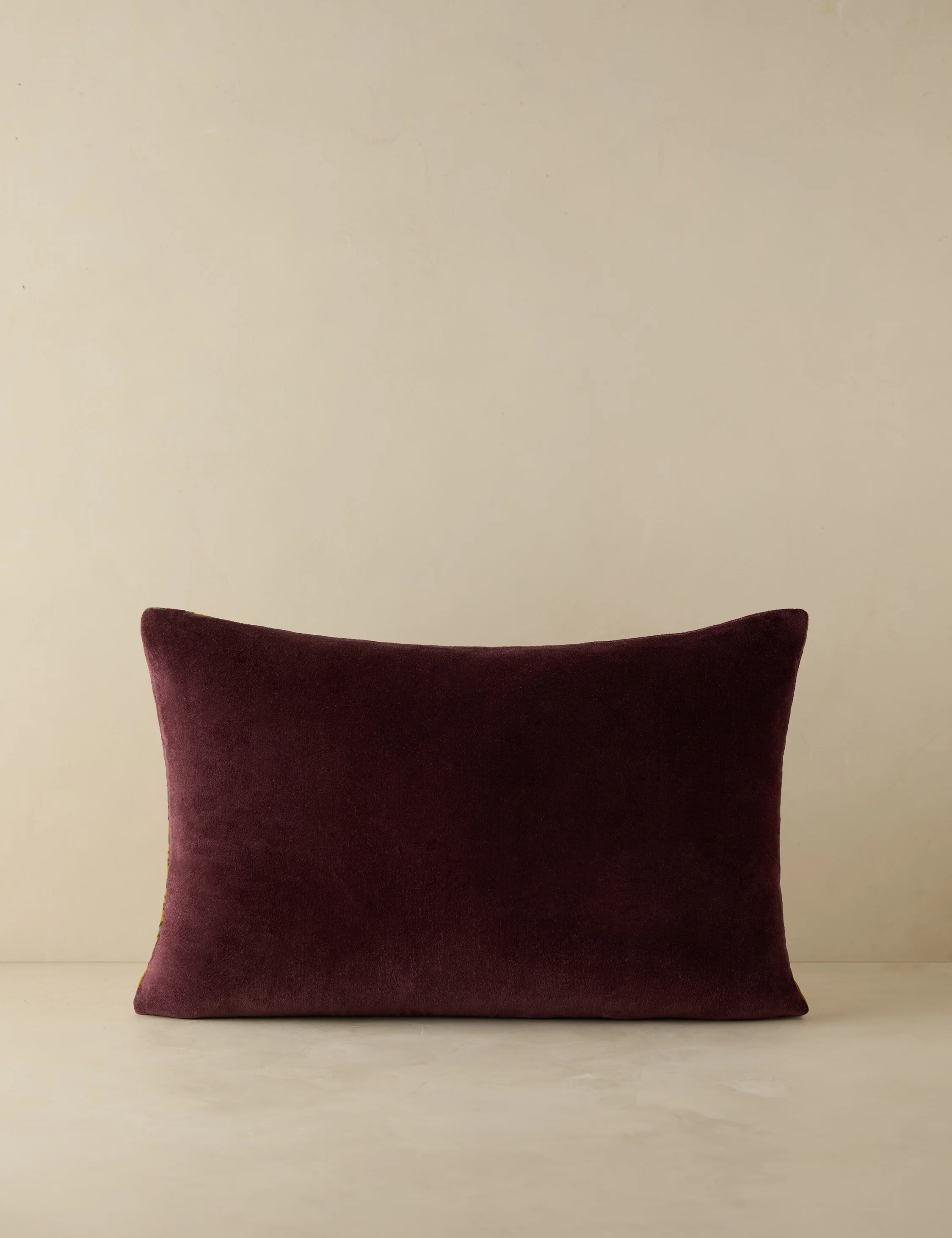 Agnetha Velvet Pillow - Image 5