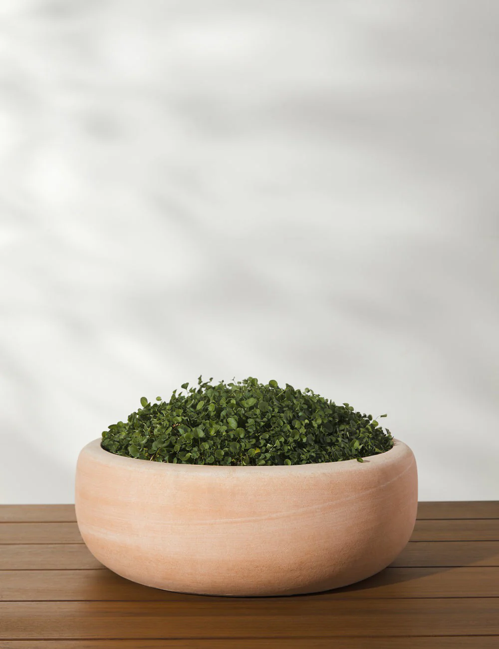 Annalise Planter (Set of 2) by Campania International - Image 3