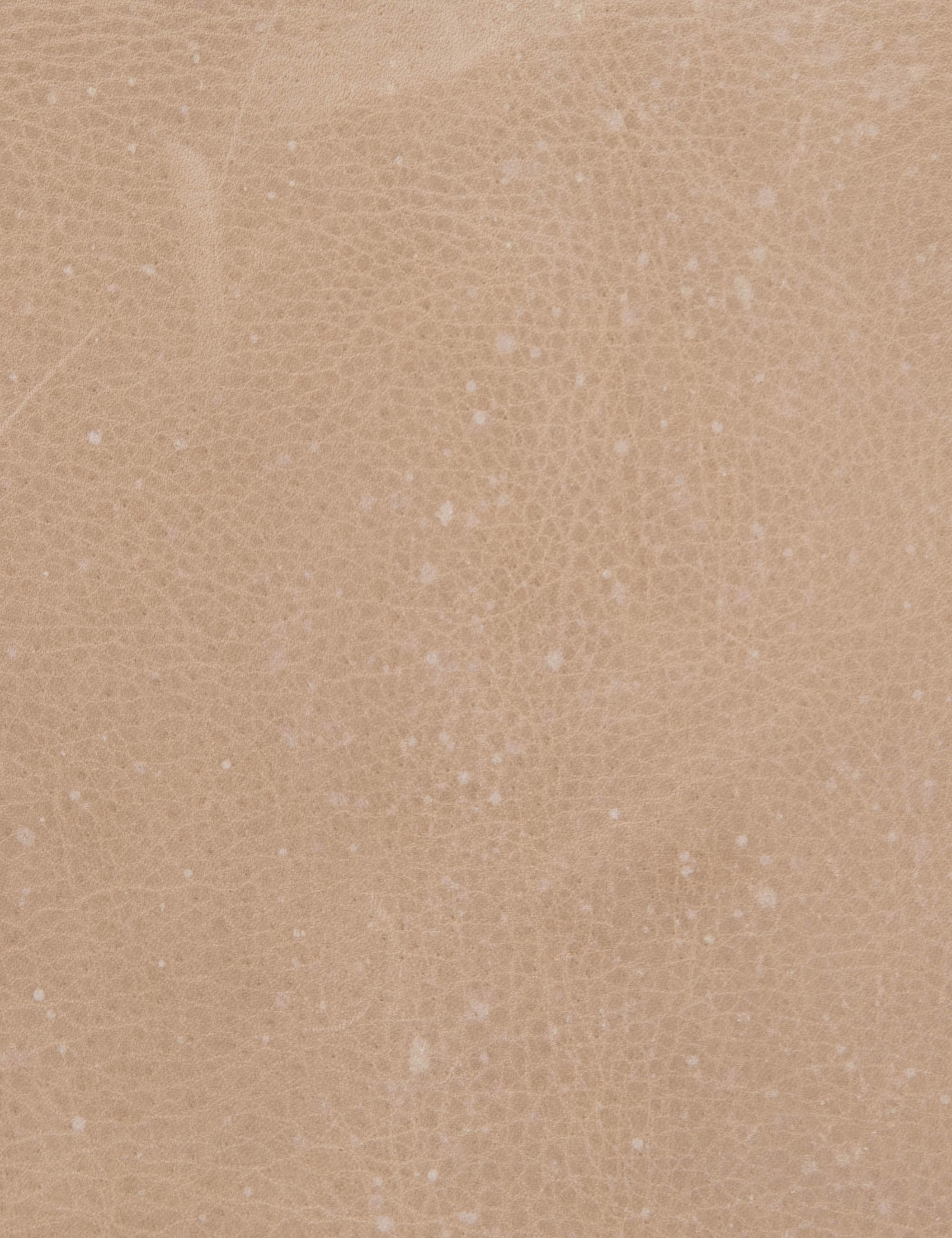 Anouk Accent Chair - Image 16