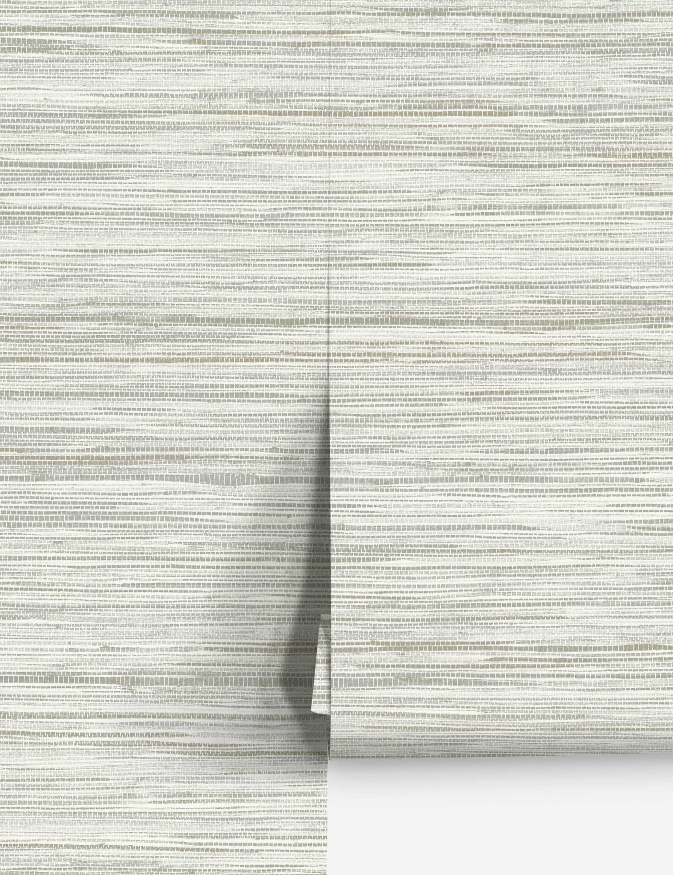 Bahiagrass Premium Peel + Stick Wallpaper - Image 5