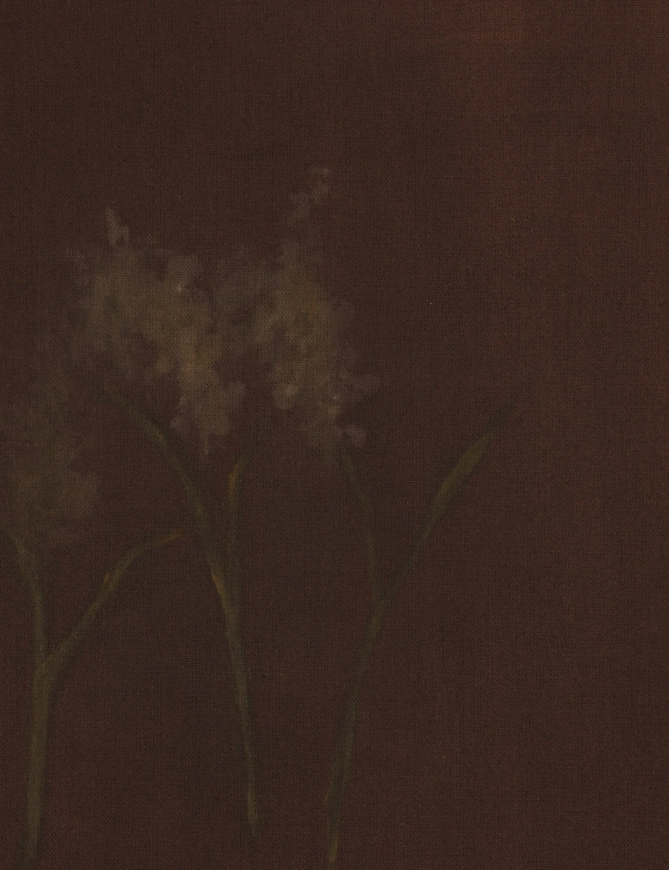 Bloom III Wall Art by Brittney Schulz - Image 5