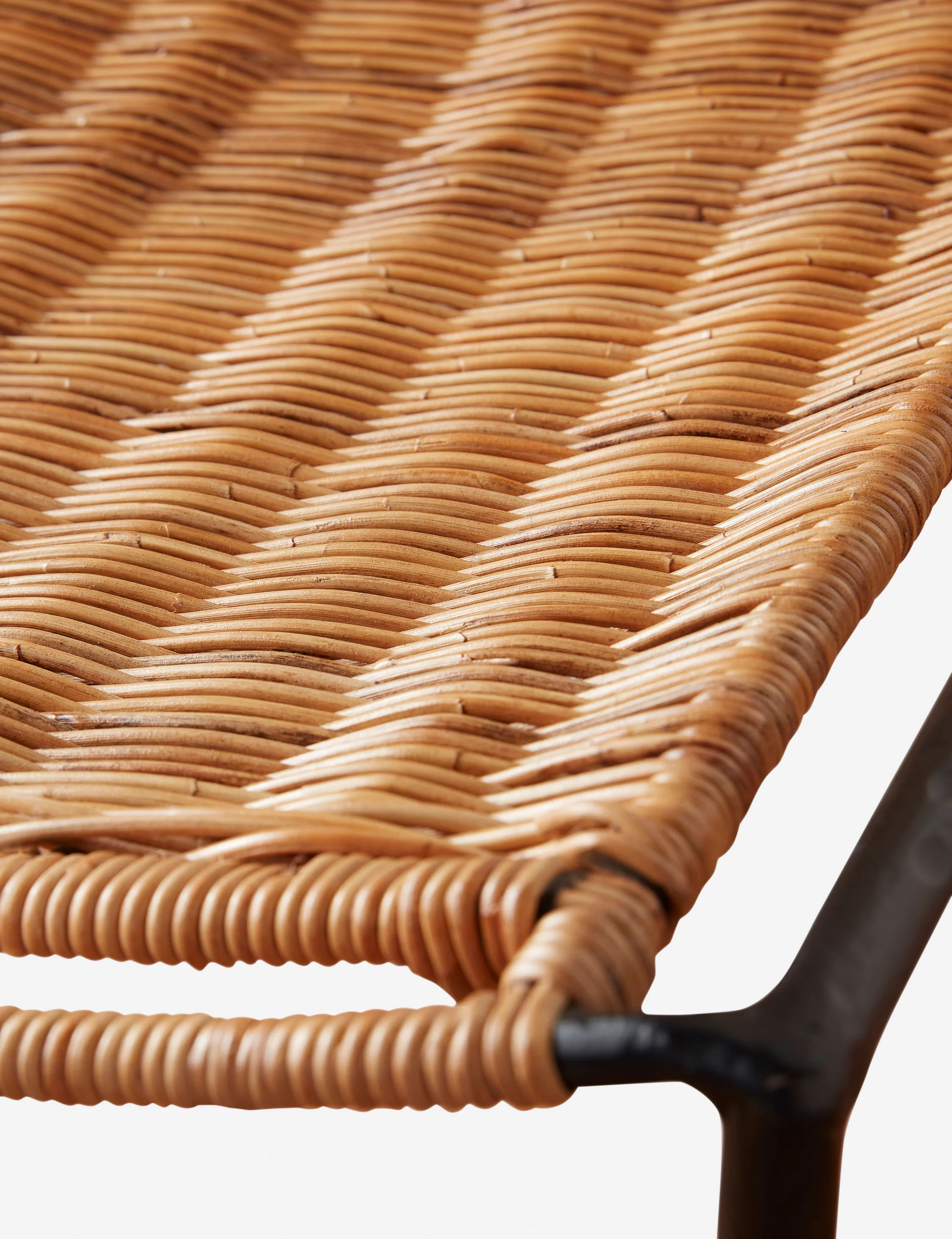 Bonnet Indoor / Outdoor Accent Chair - Image 8