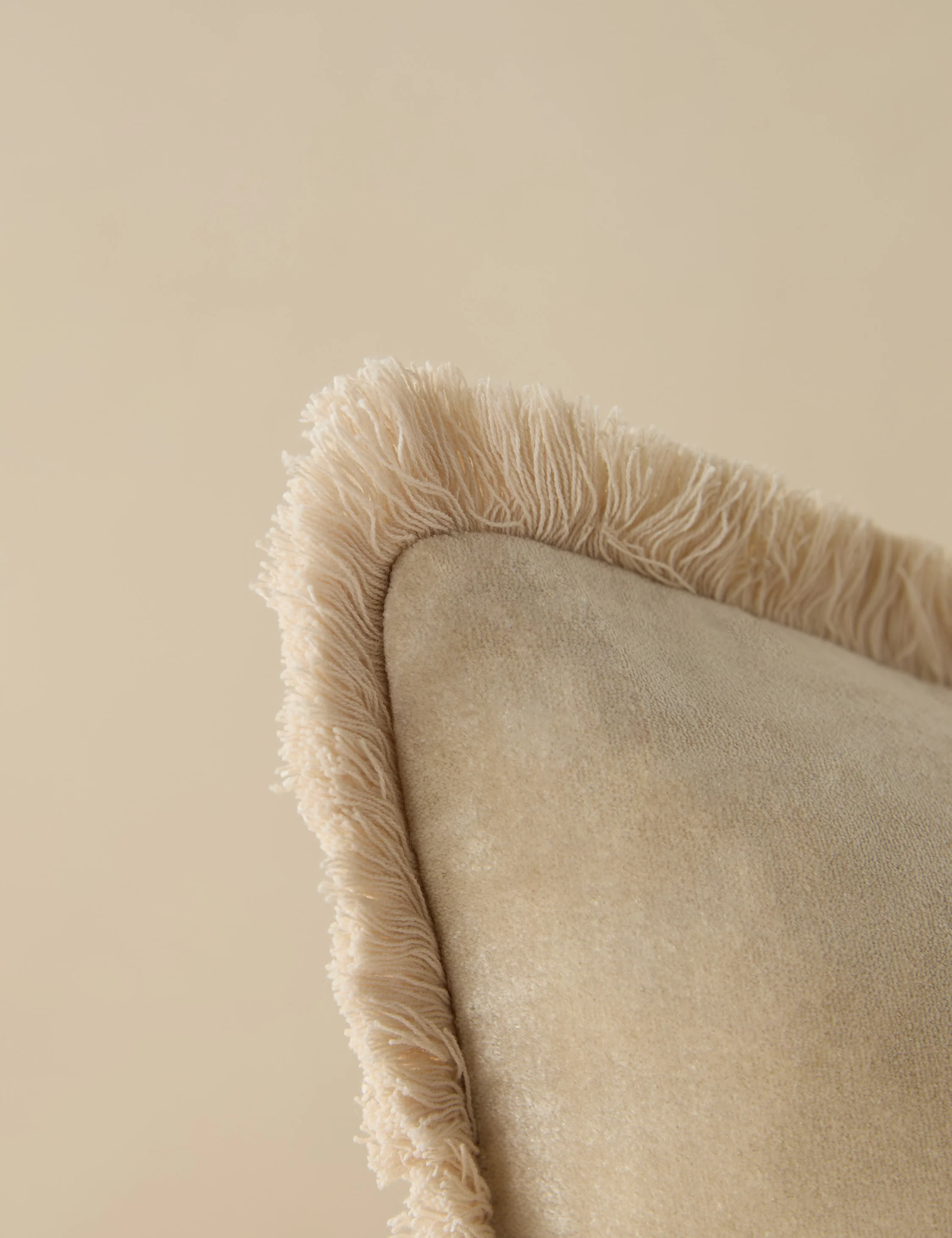 Brandis Velvet Pillow - Image 26