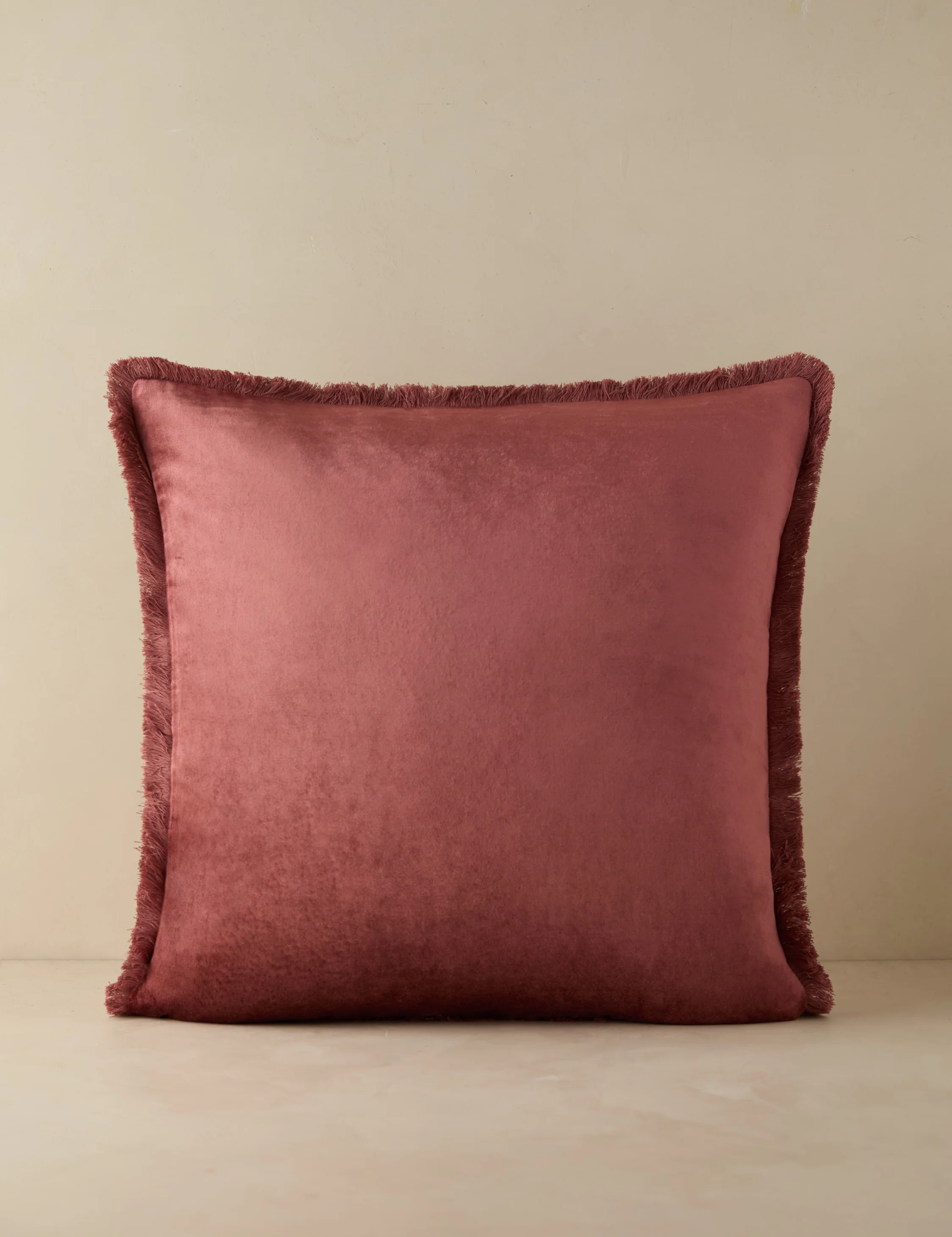 Brandis Velvet Pillow - Image 7
