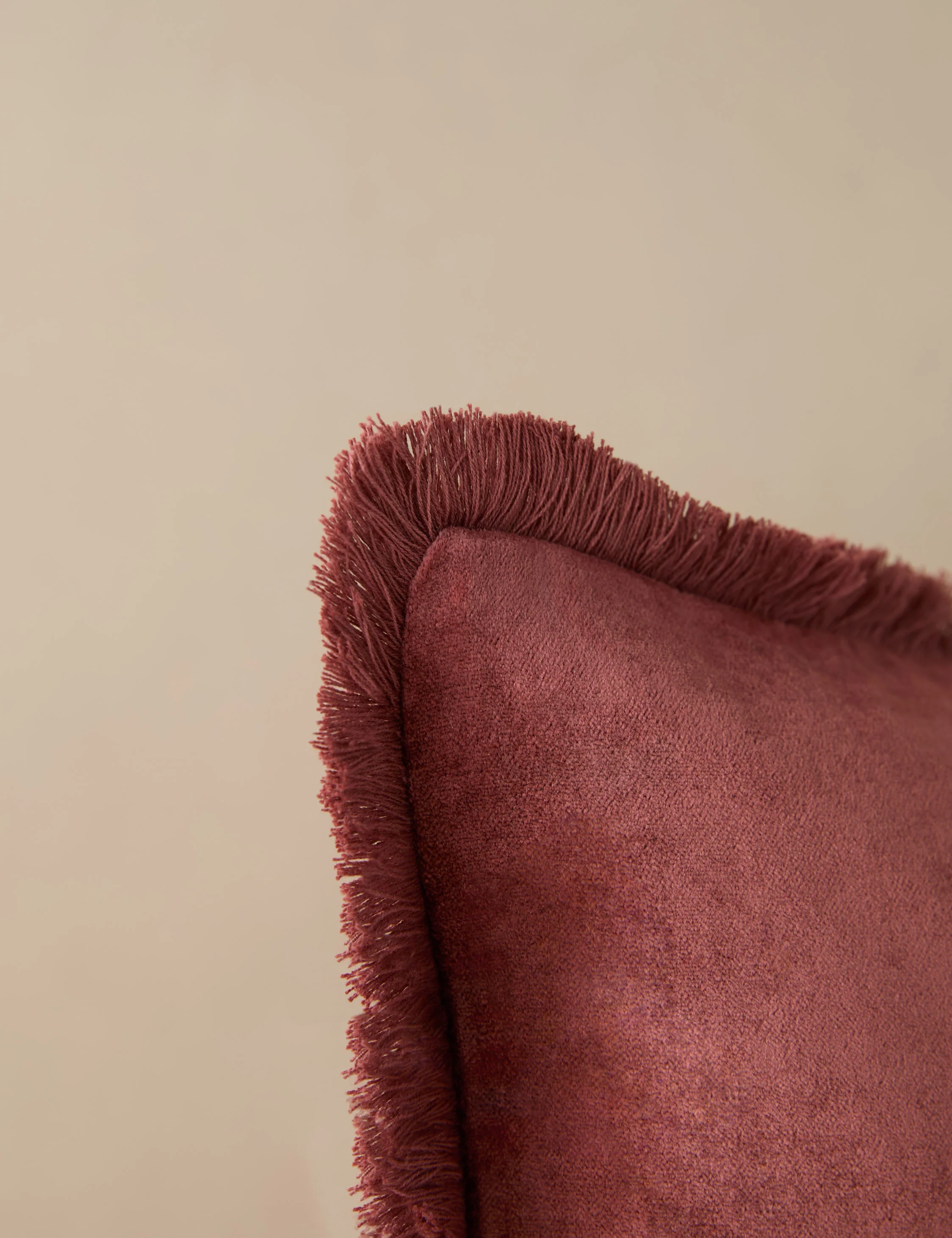 Brandis Velvet Pillow - Image 9