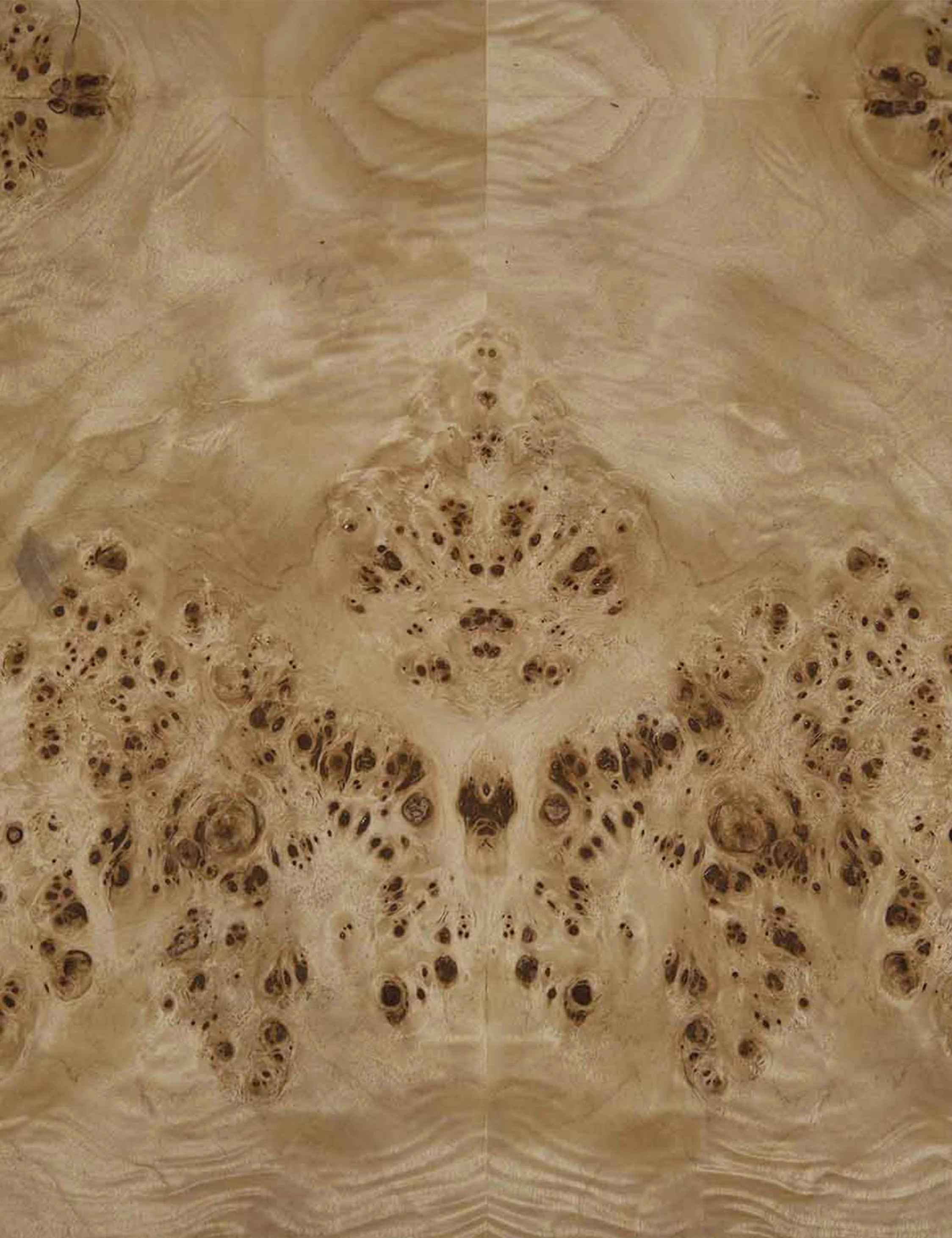 Brisa Burl Wood Coffee Table - Image 8