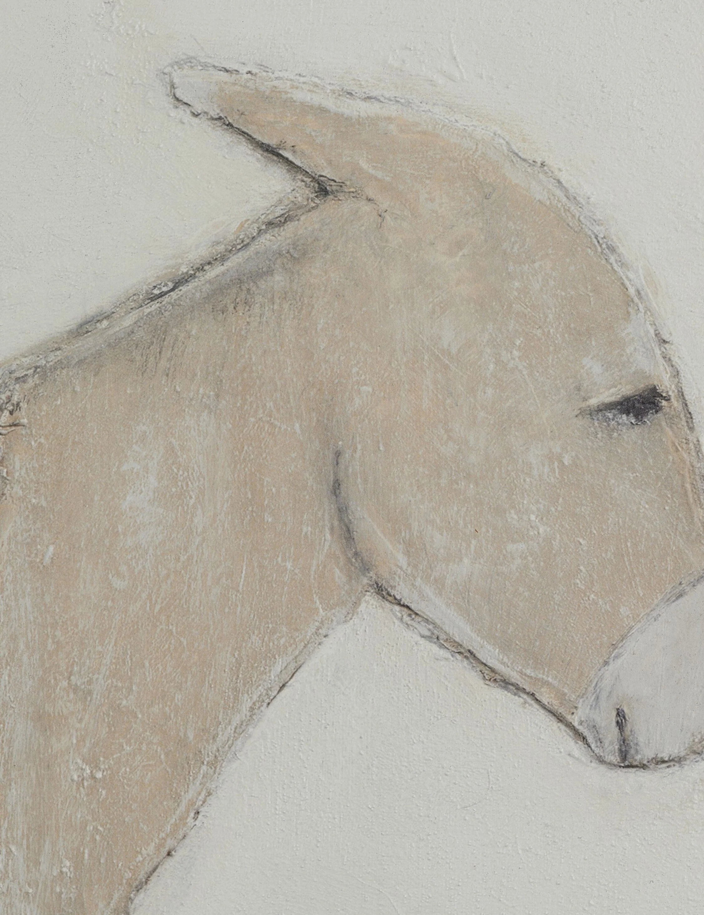 Burro Dia Wall Art by Paul Meyer - Image 12