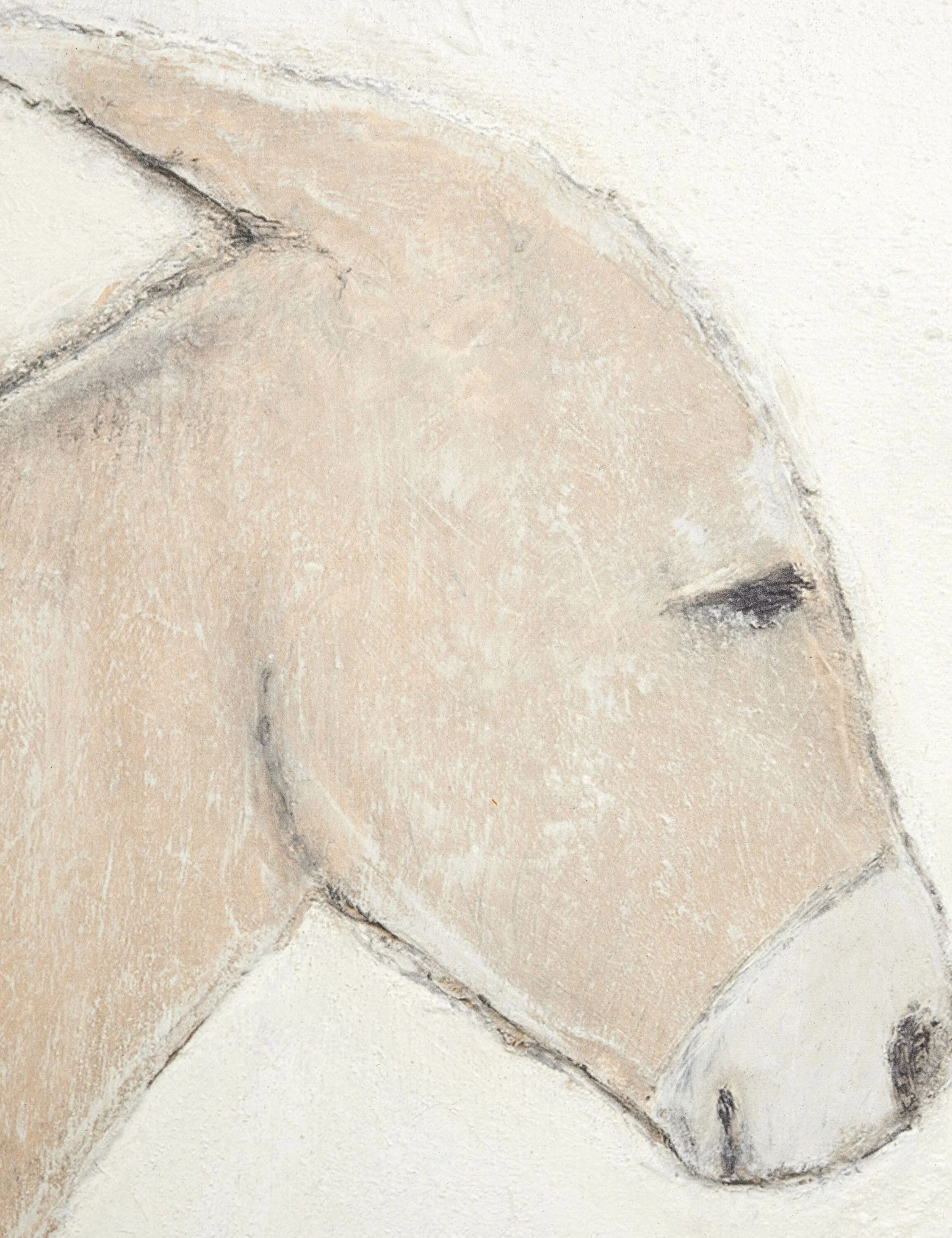 Burro Dia Wall Art by Paul Meyer - Image 6