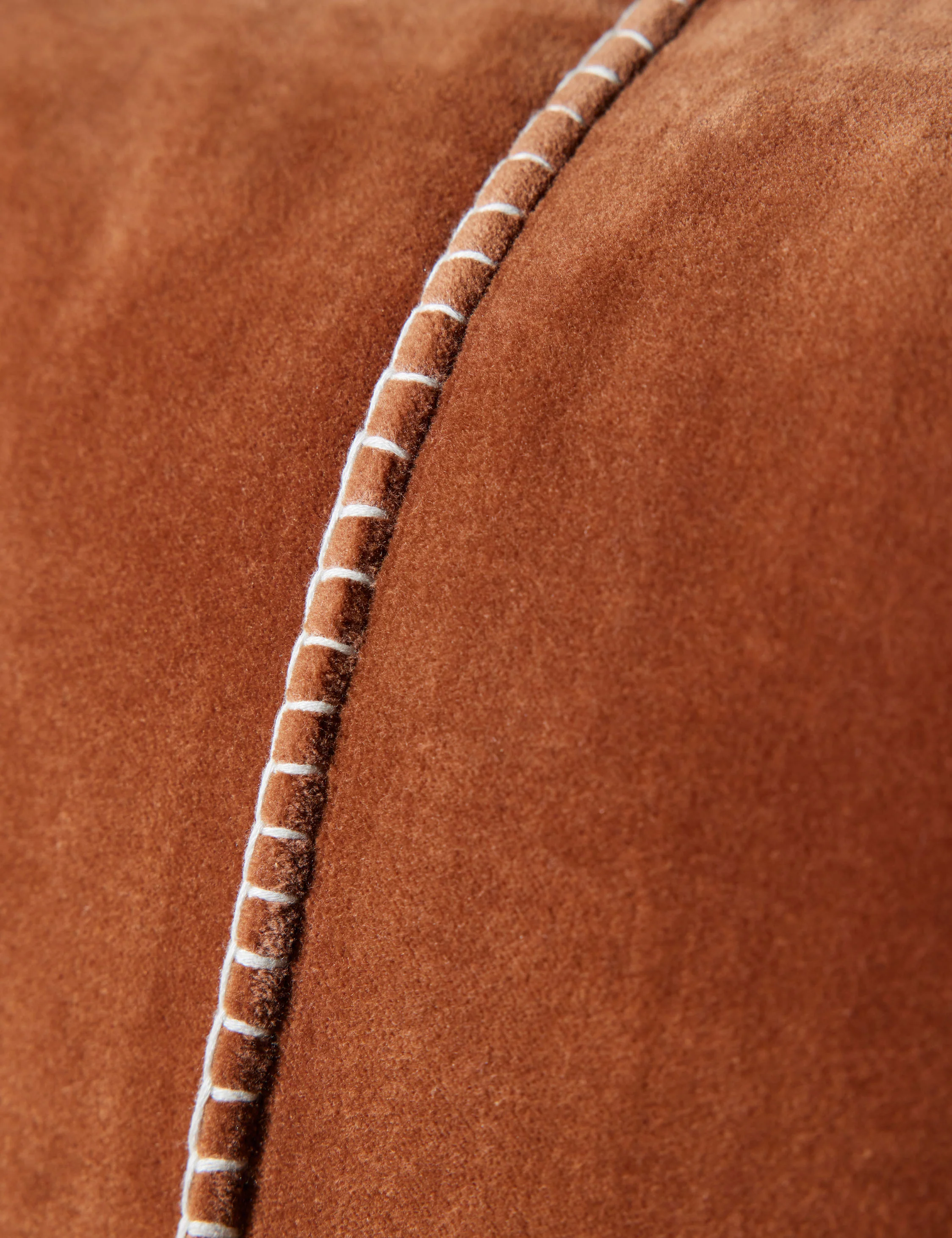 Caddie Velvet Pillow - Image 12