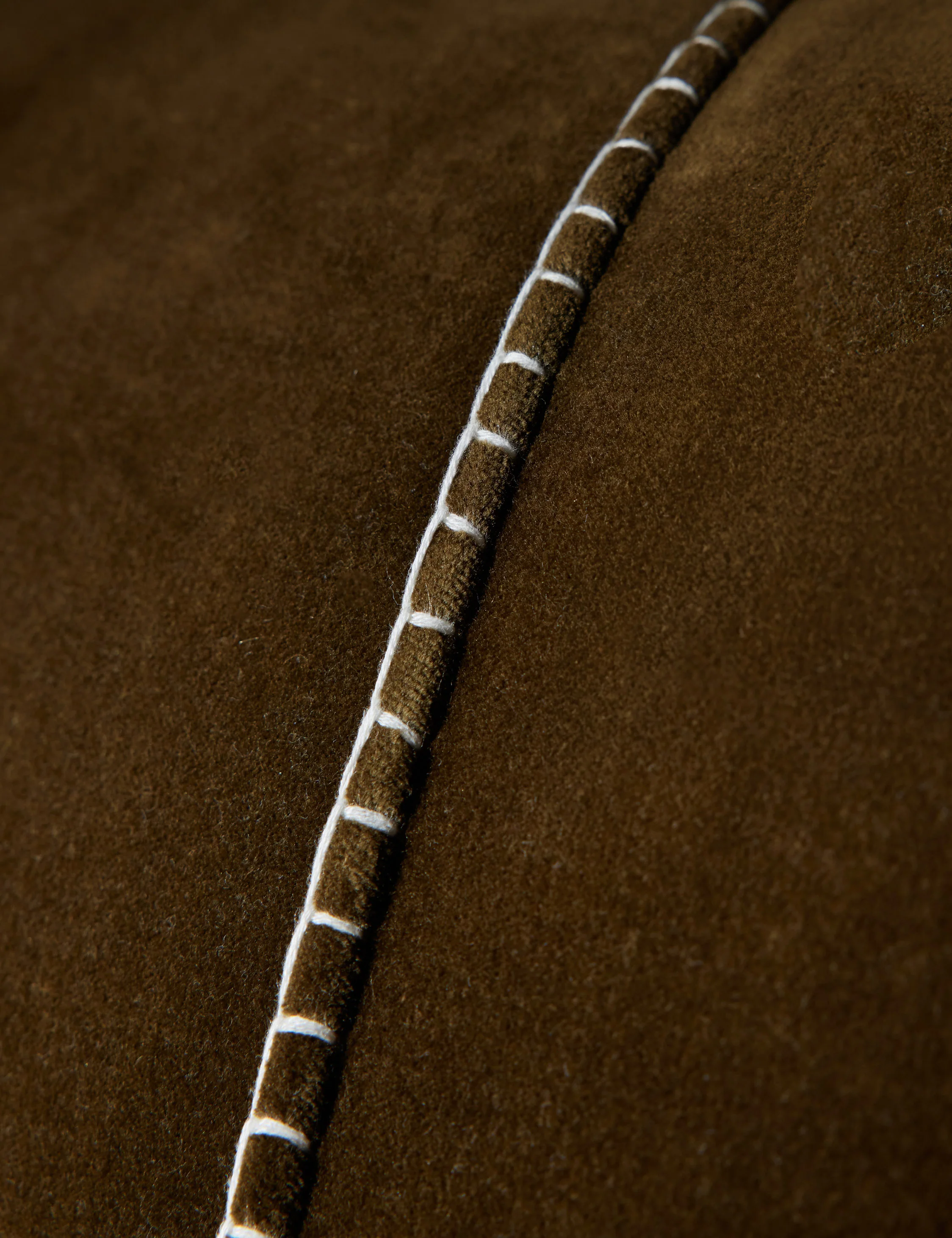 Caddie Velvet Pillow - Image 3