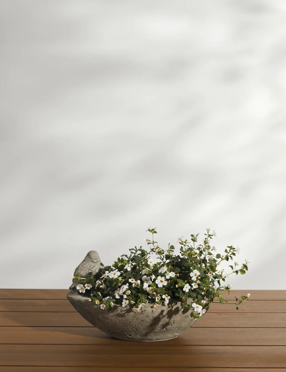 Cast Stone Tabletop Planters by Campania International - Image 8