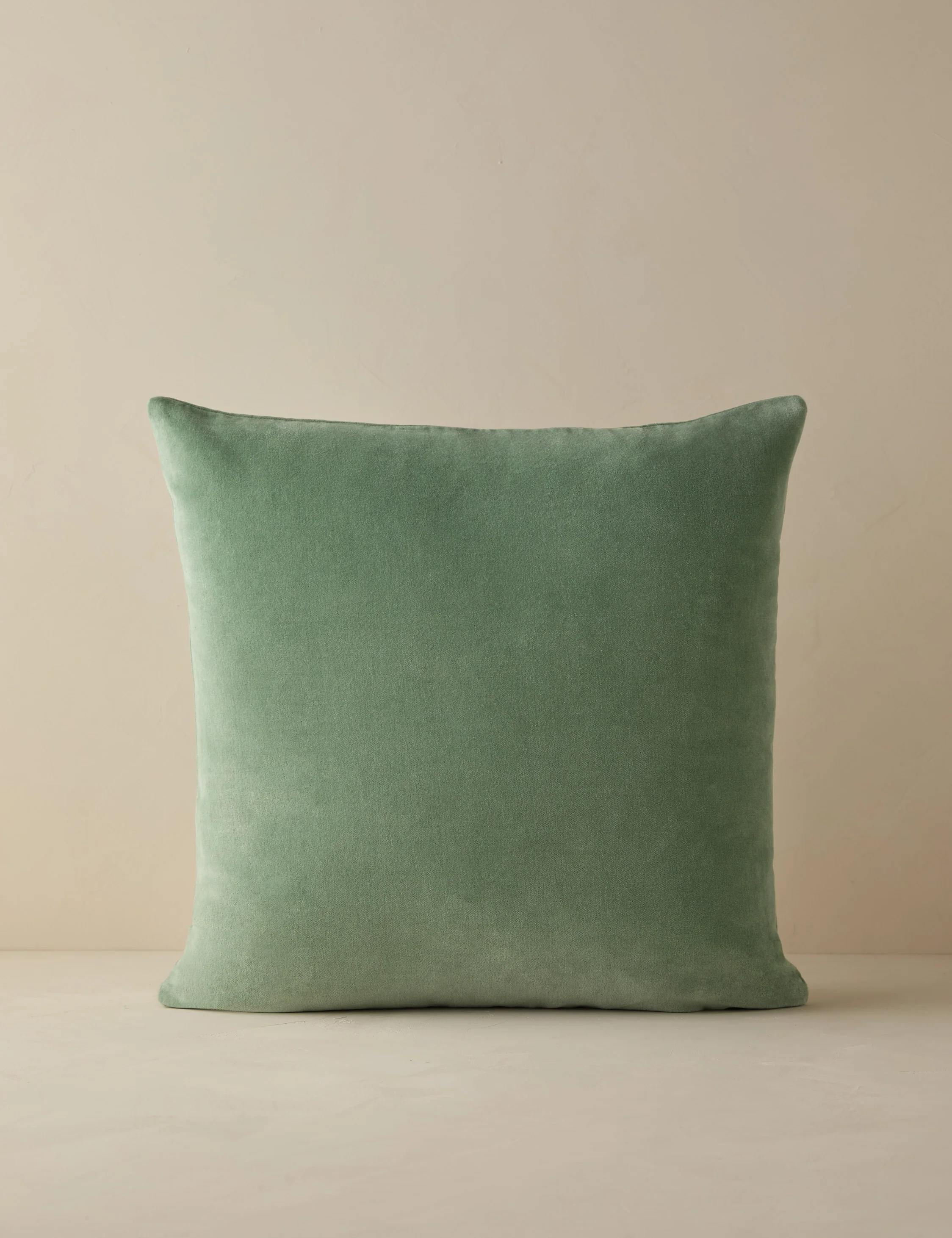 Charlotte Velvet Pillow - Image 105