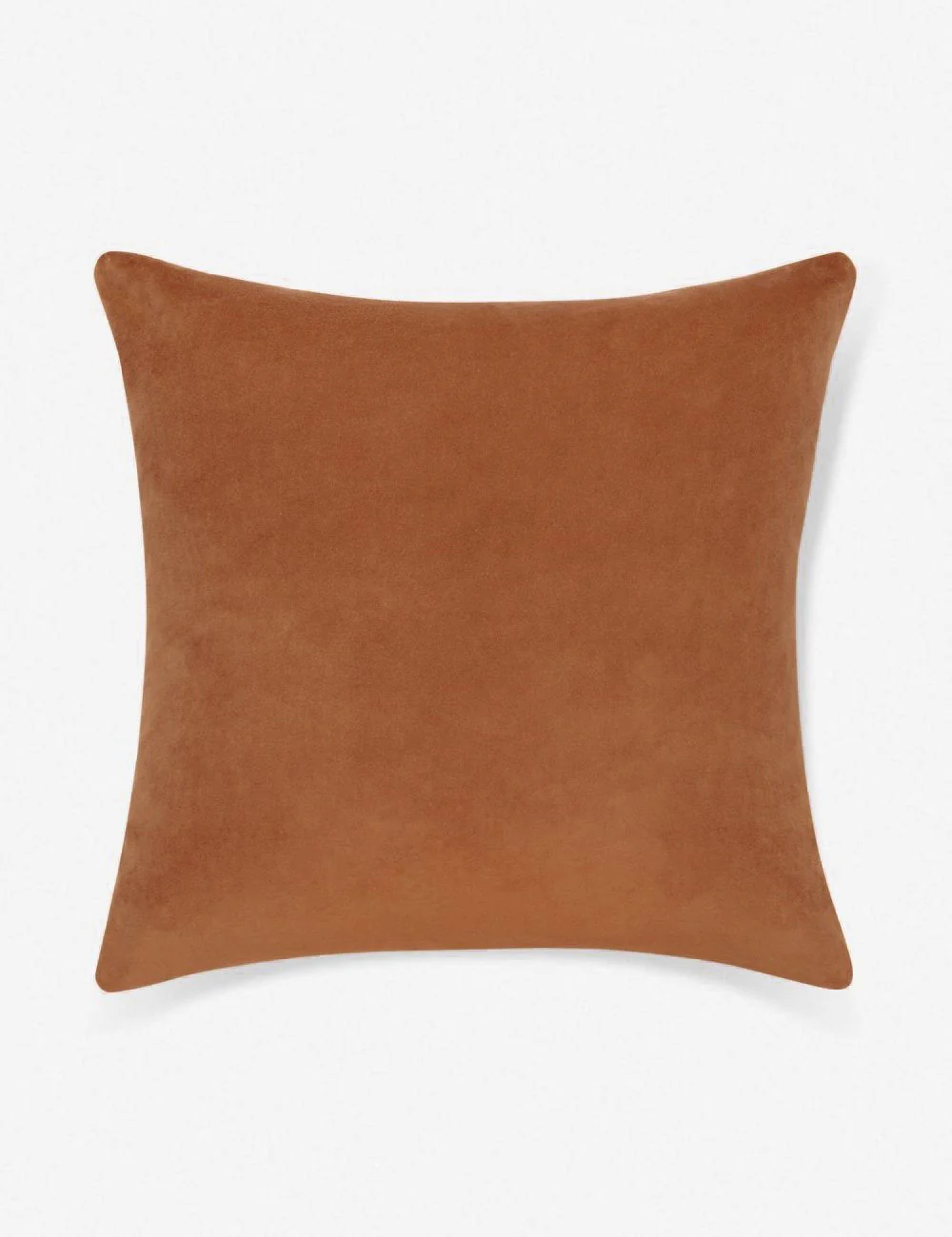Charlotte Velvet Pillow - Image 14