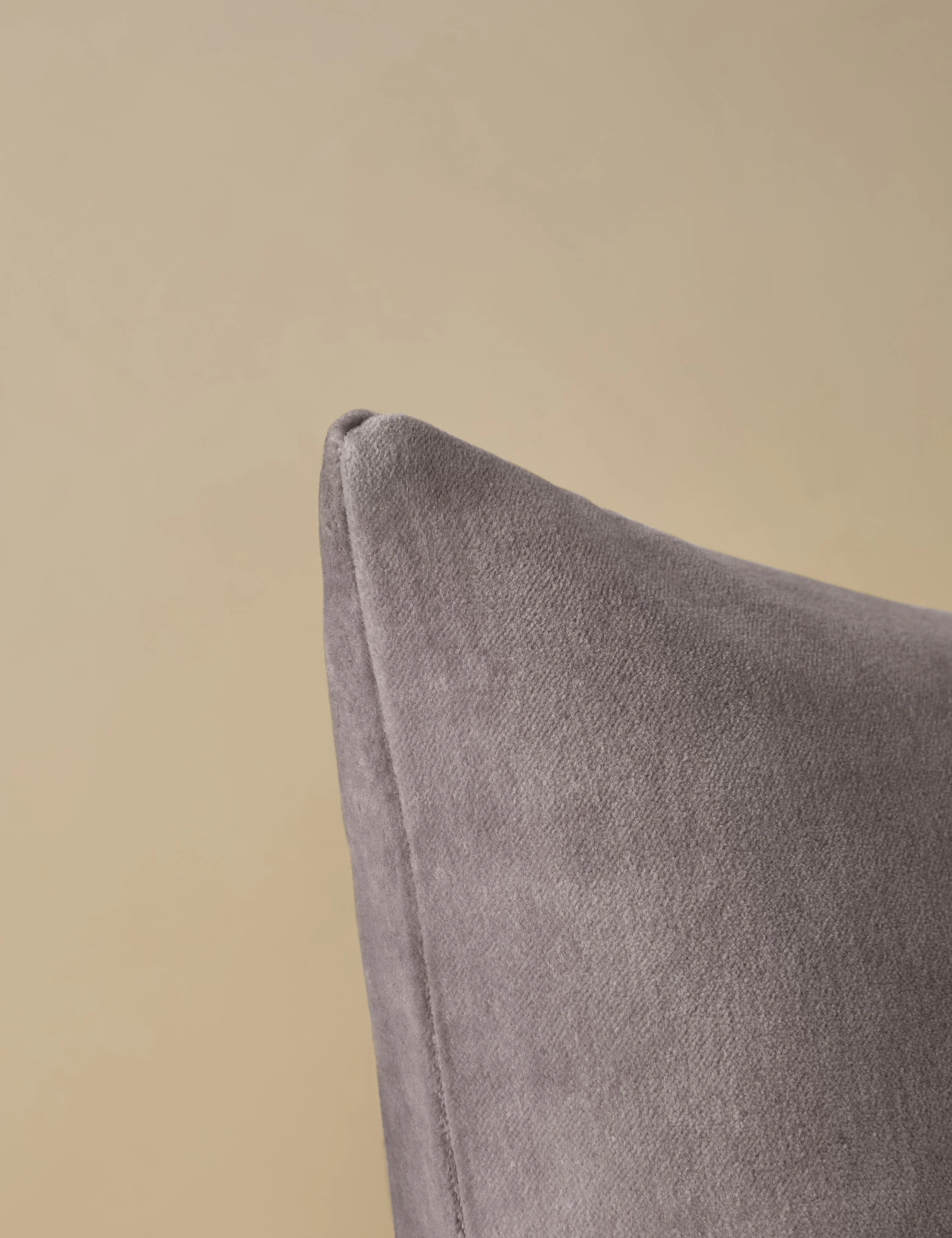 Charlotte Velvet Pillow - Image 23