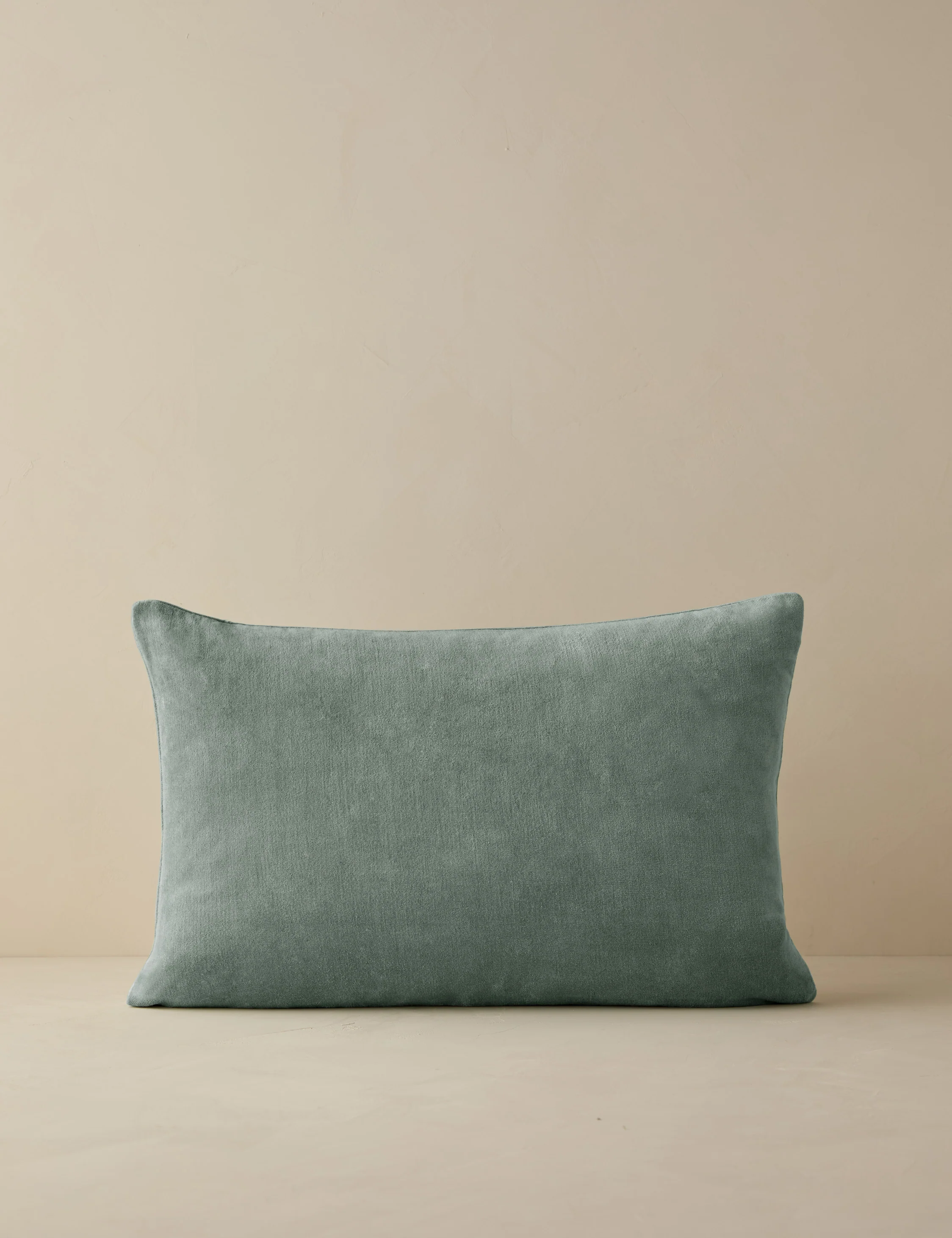 Charlotte Velvet Pillow - Image 28