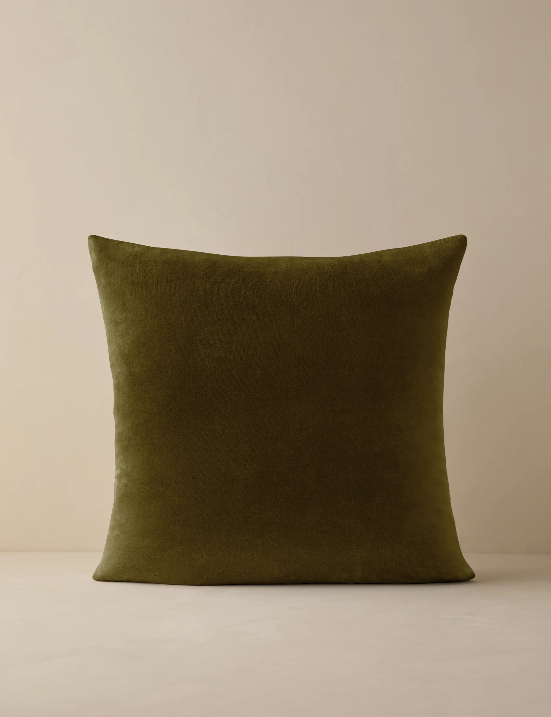 Charlotte Velvet Pillow - Image 49