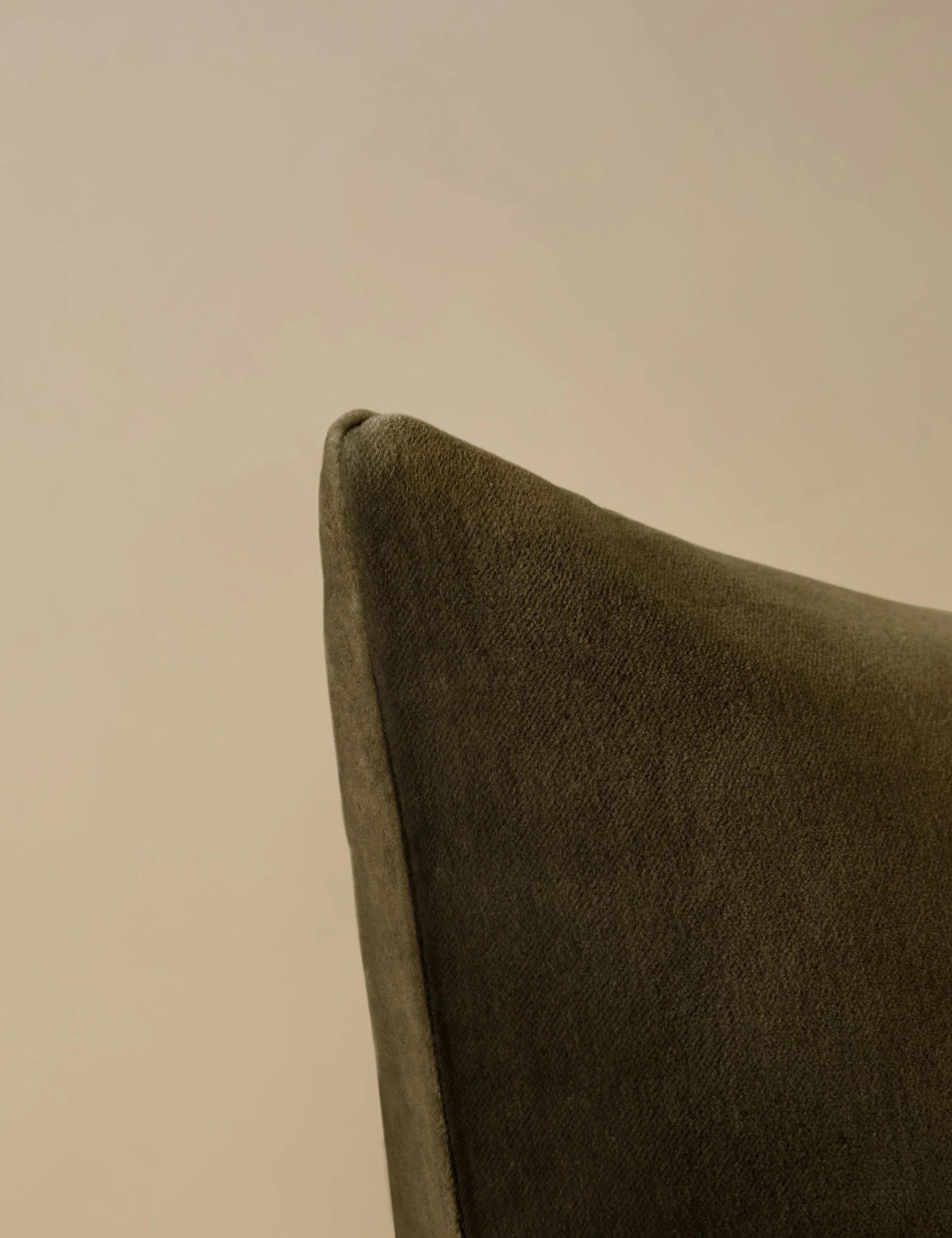 Charlotte Velvet Pillow - Image 51