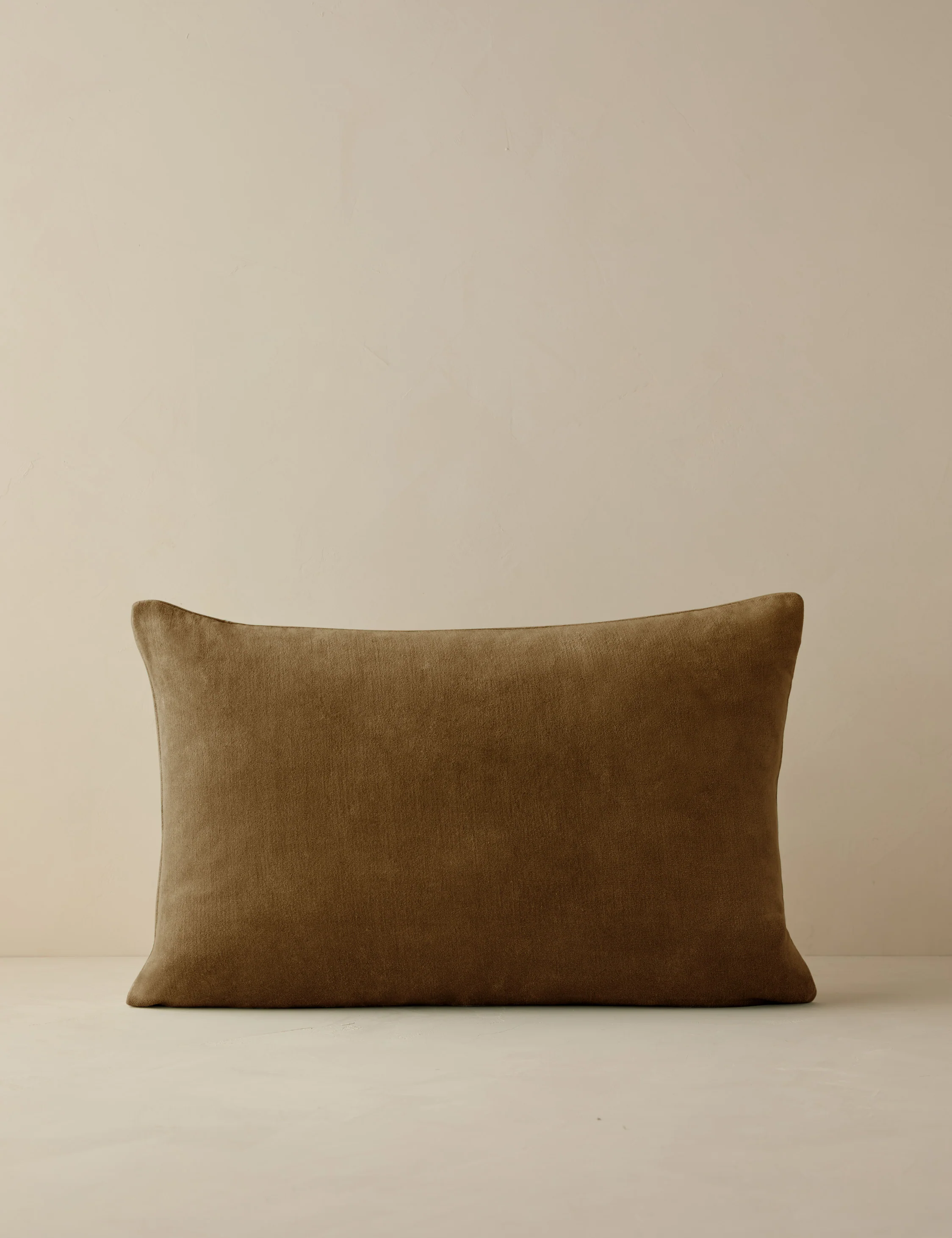 Charlotte Velvet Pillow - Image 63