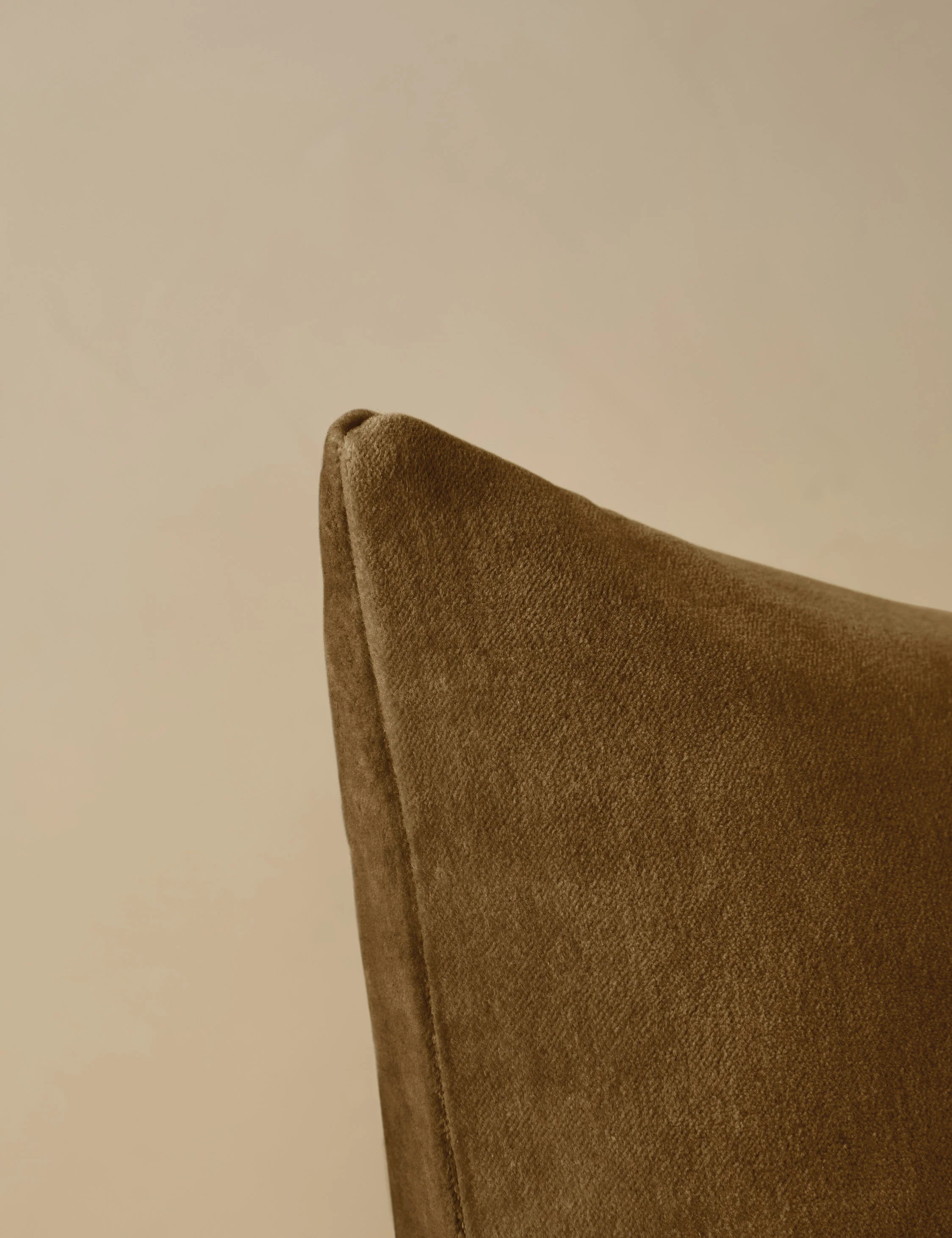 Charlotte Velvet Pillow - Image 65