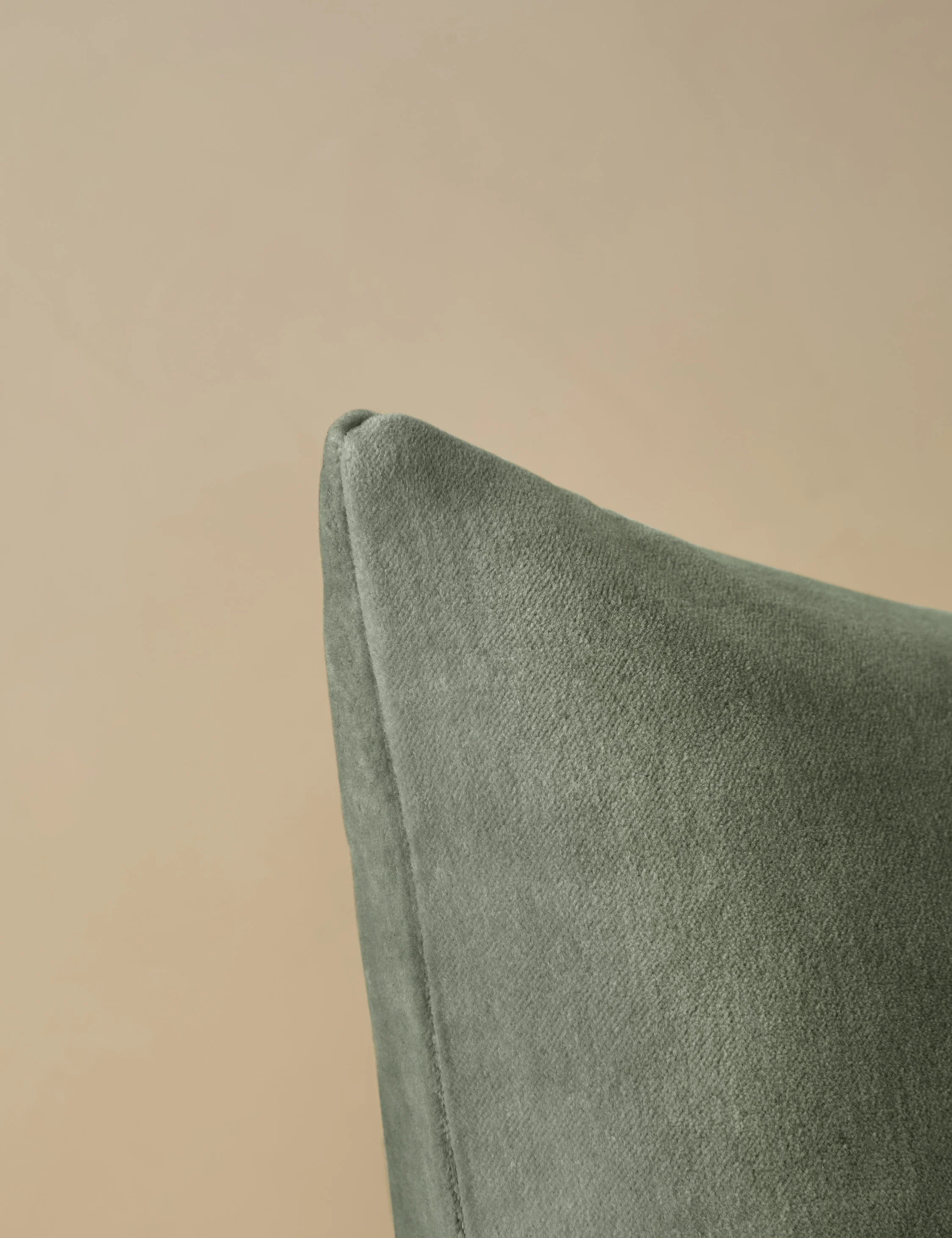 Charlotte Velvet Pillow - Image 7