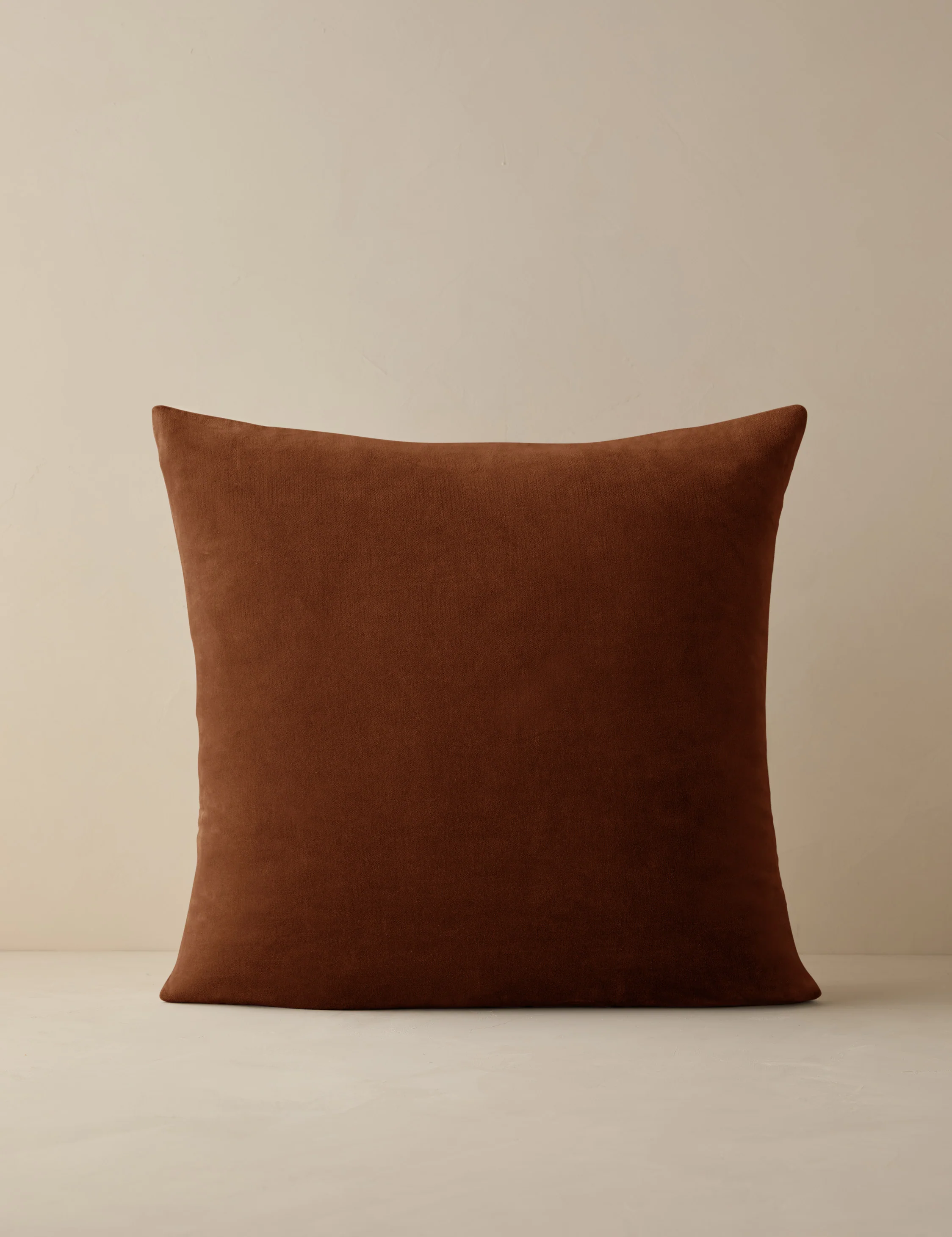 Charlotte Velvet Pillow - Image 83