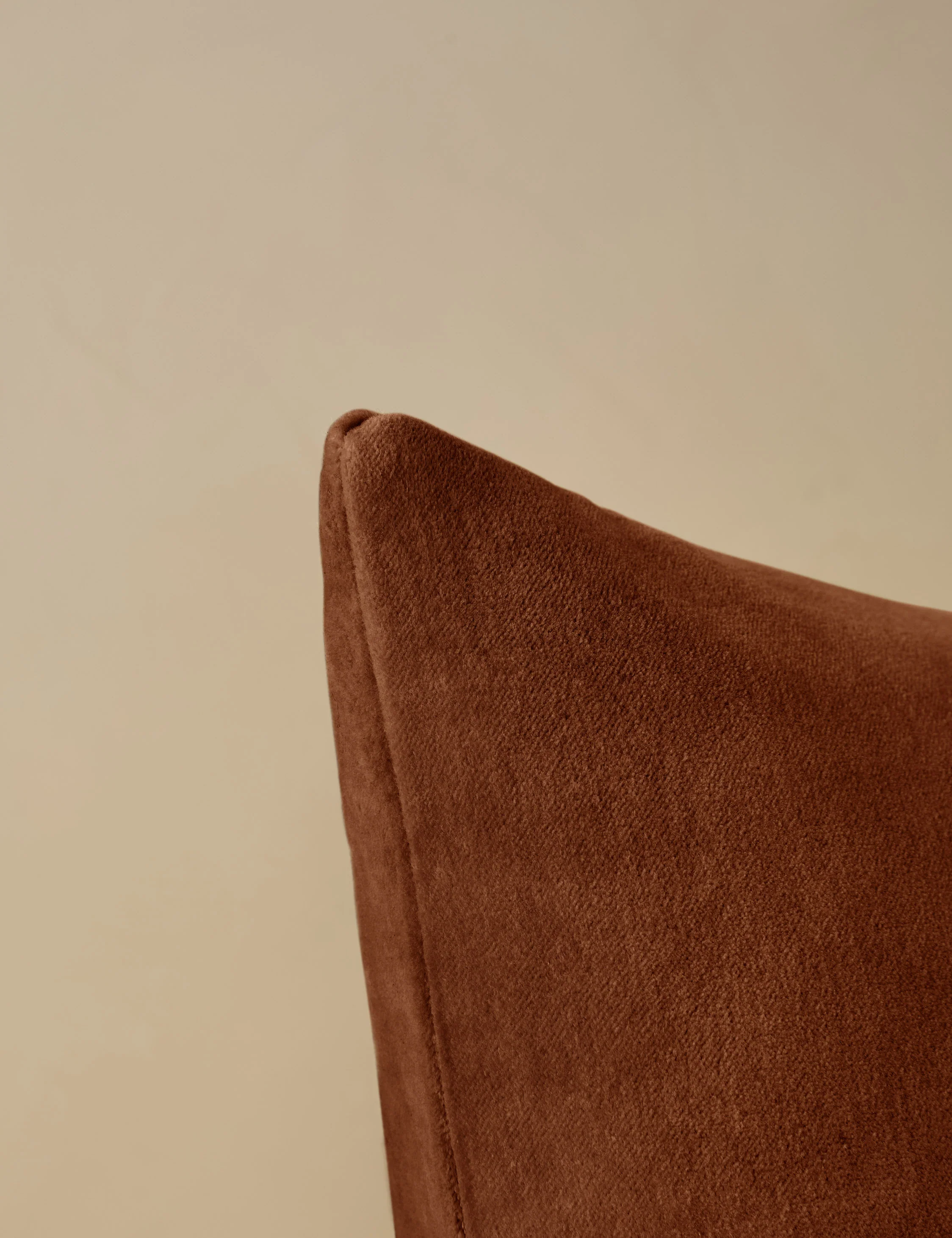 Charlotte Velvet Pillow - Image 87