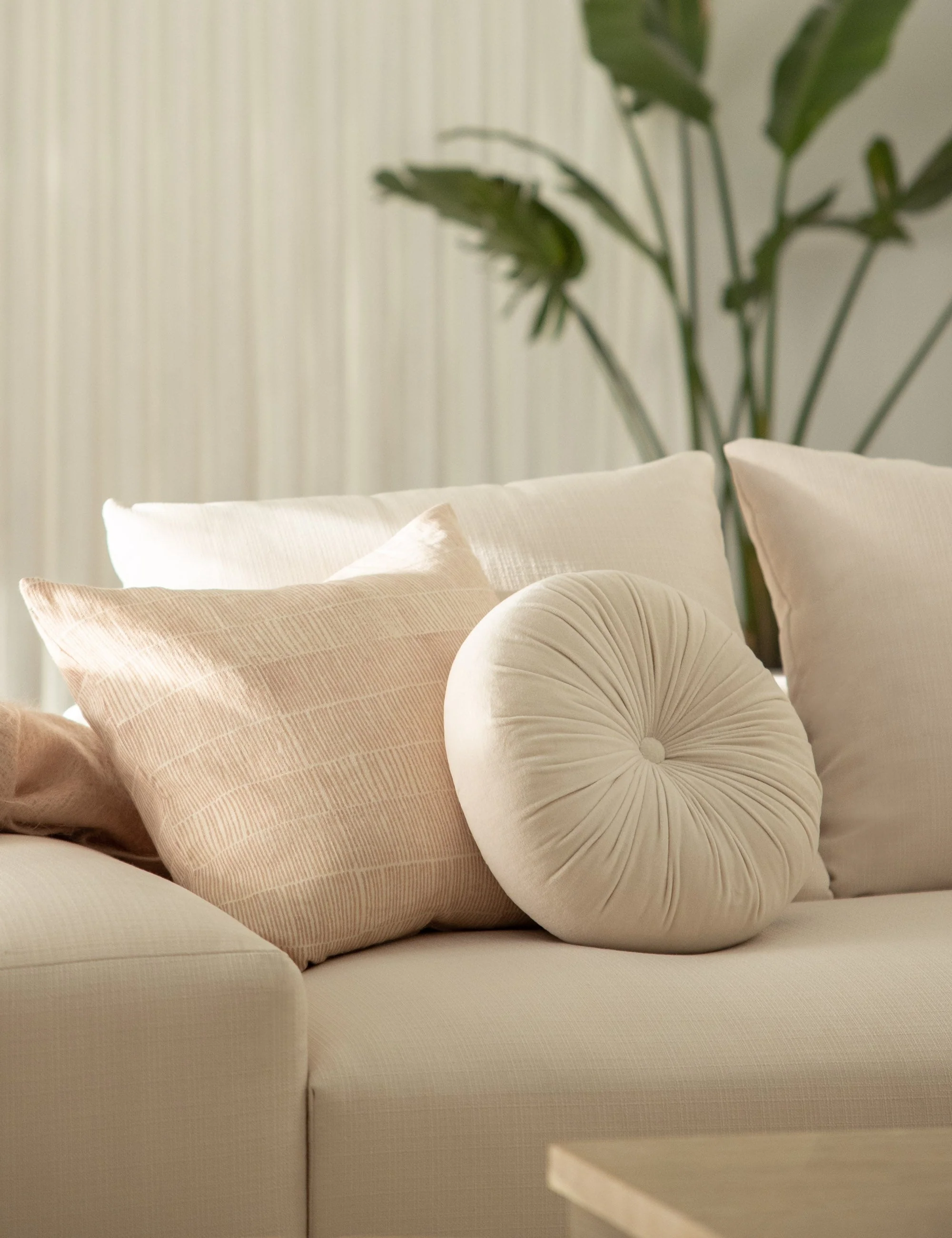 Claudette Pillow - Image 11