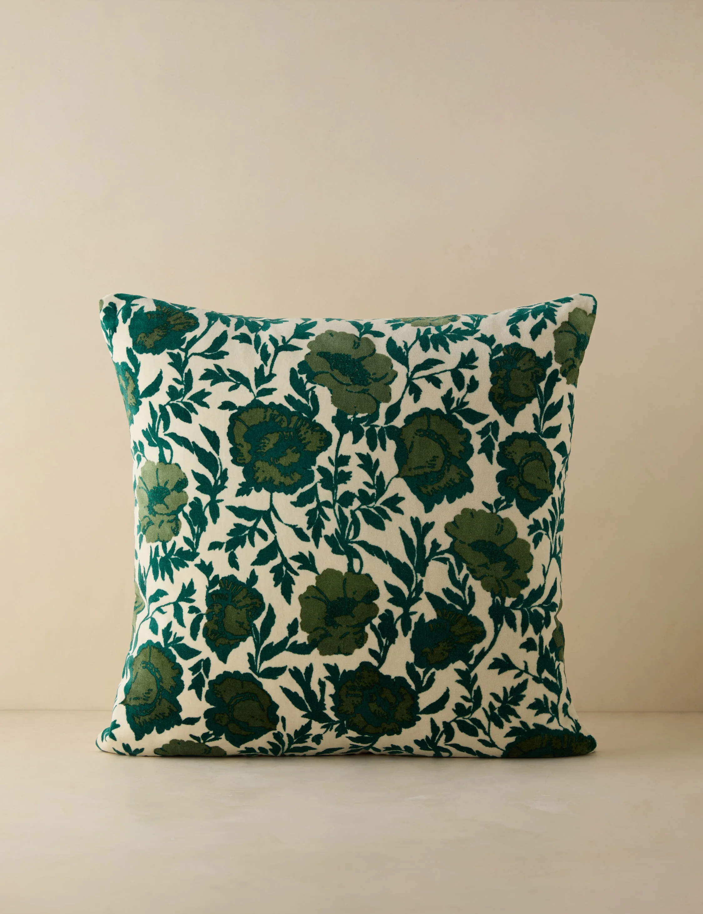 Corabel Velvet Pillow - Image 12