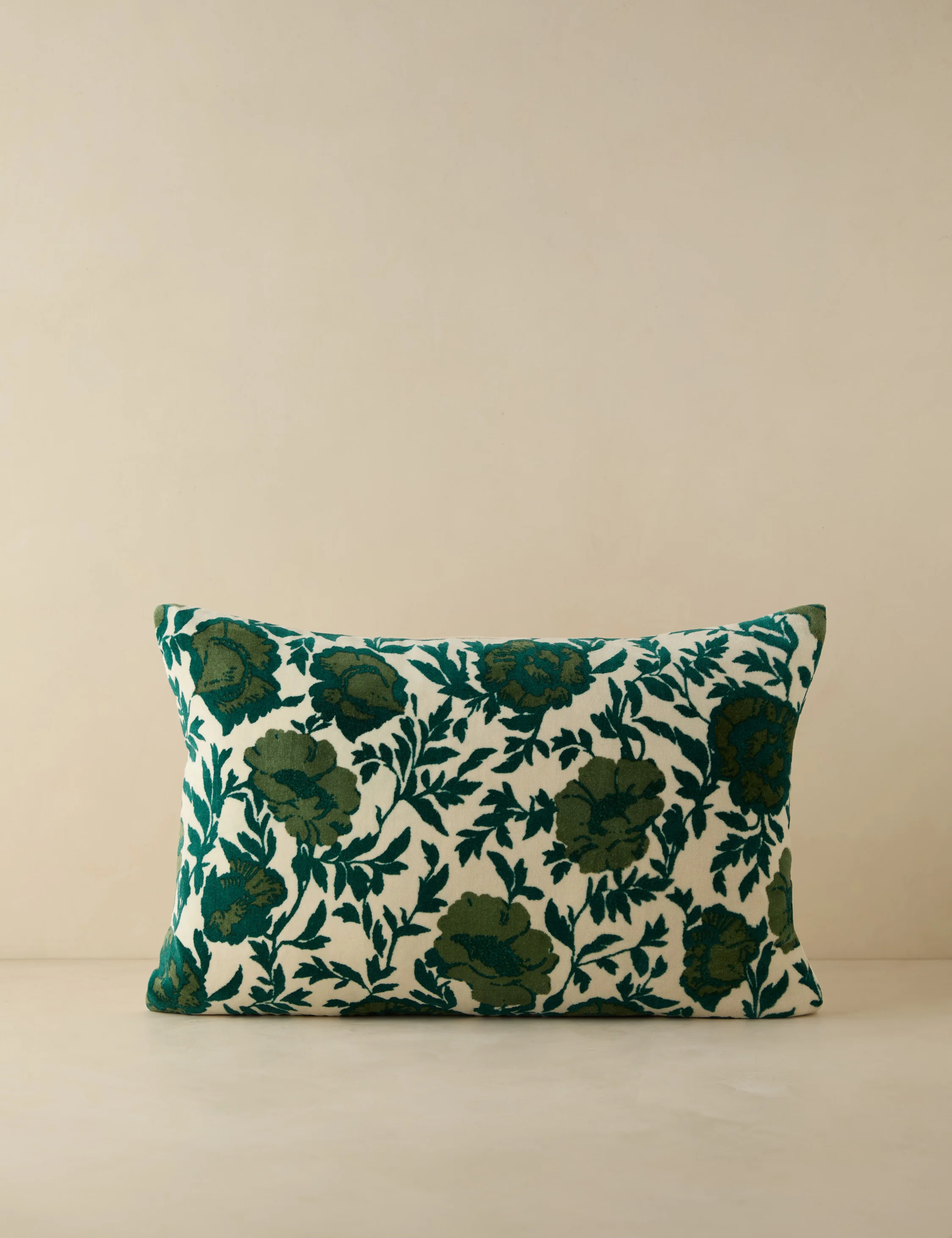 Corabel Velvet Pillow - Image 13