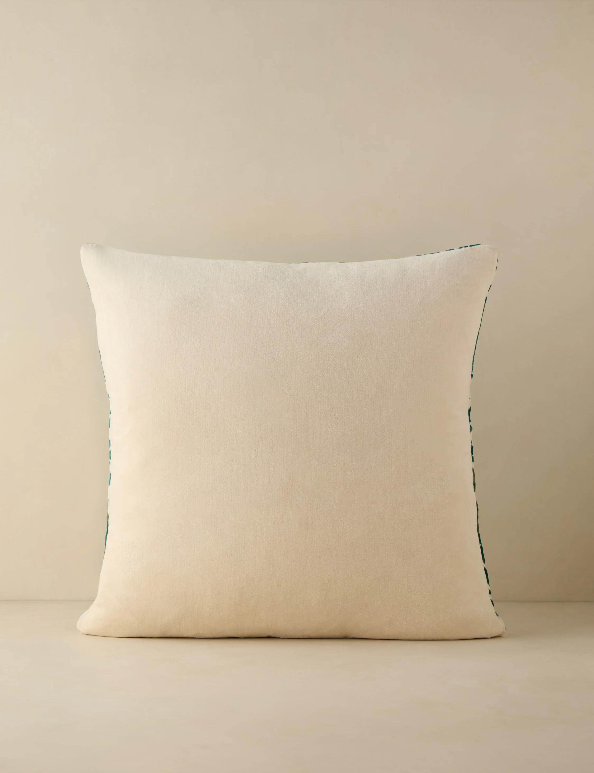 Corabel Velvet Pillow - Image 14
