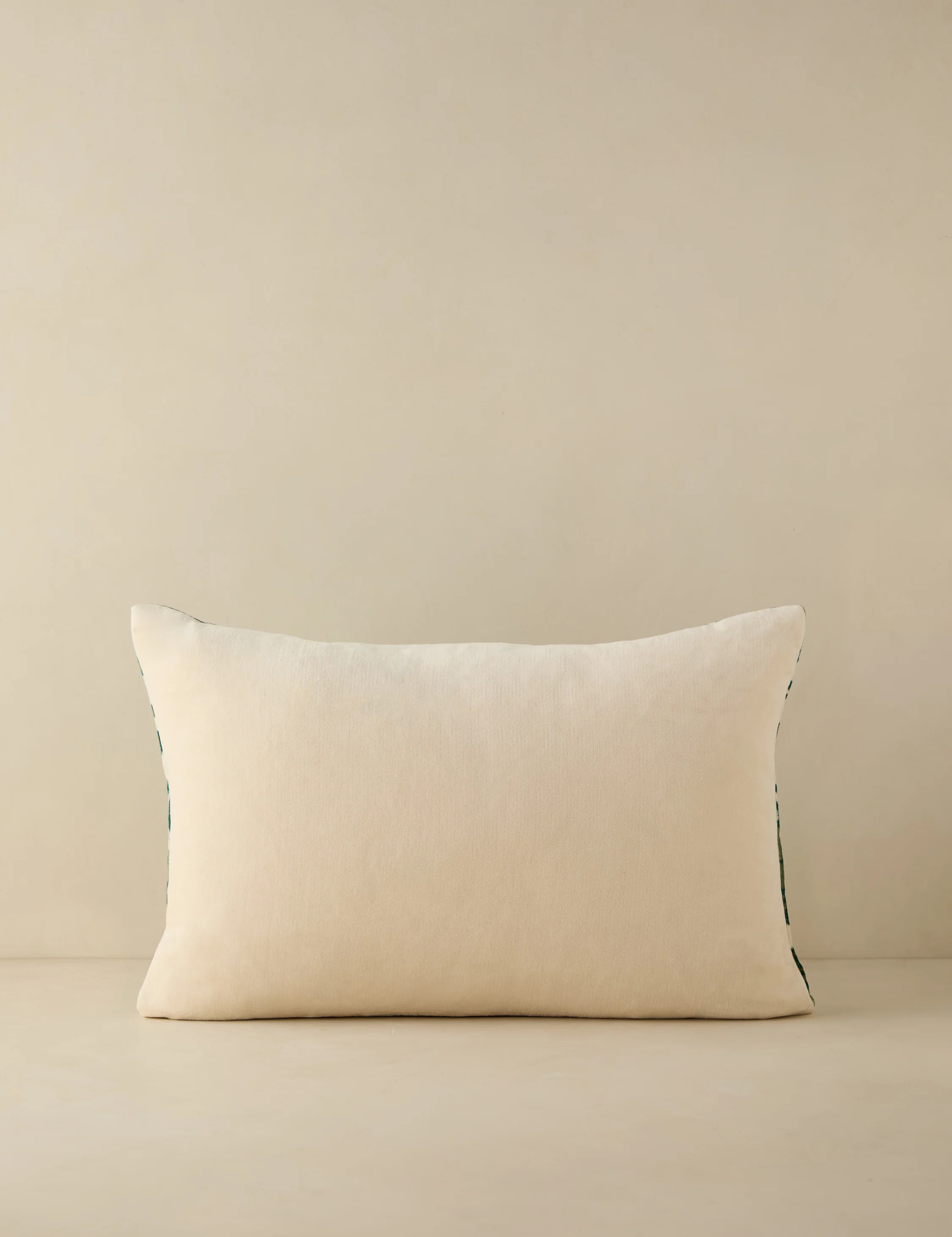 Corabel Velvet Pillow - Image 15