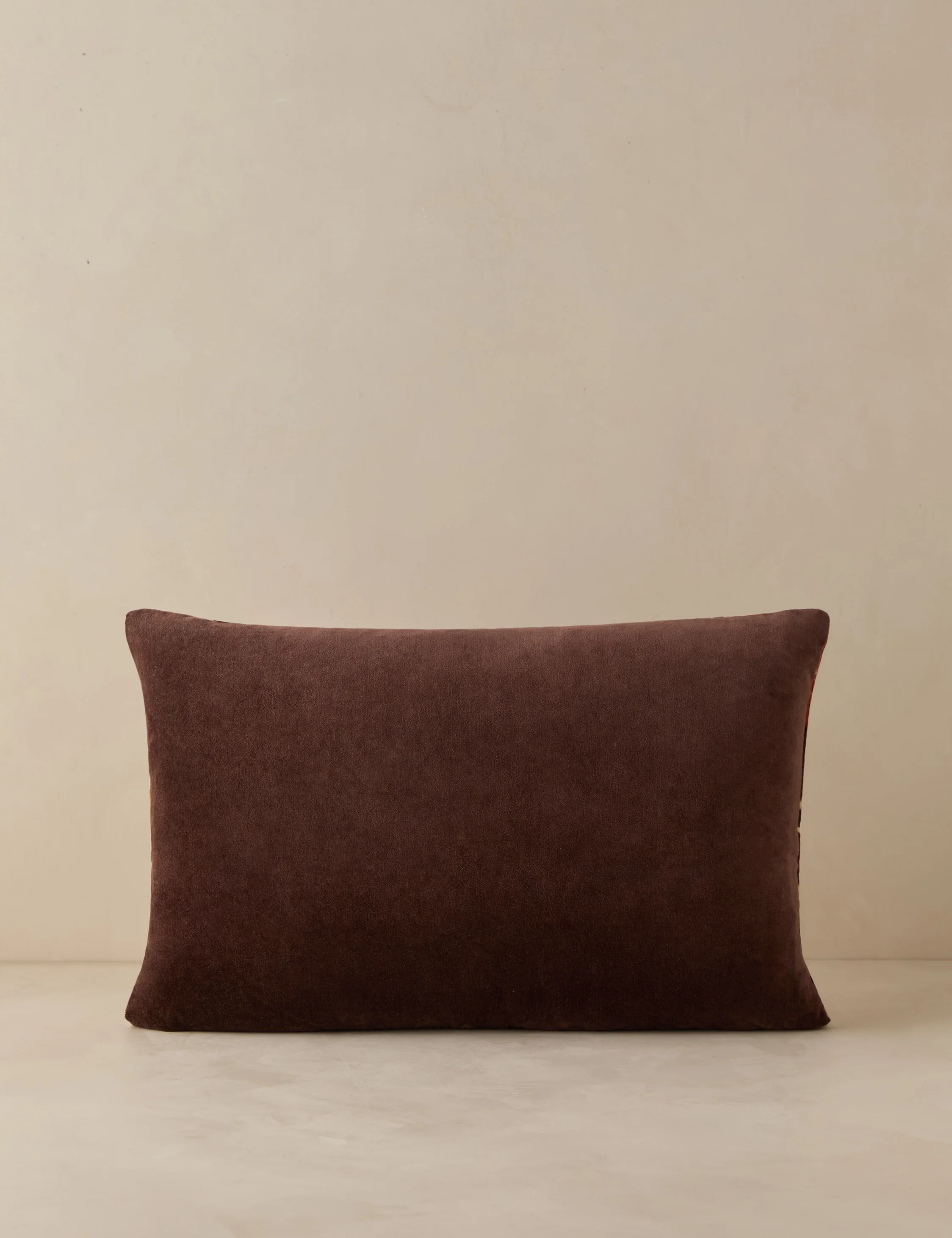 Corabel Velvet Pillow - Image 7