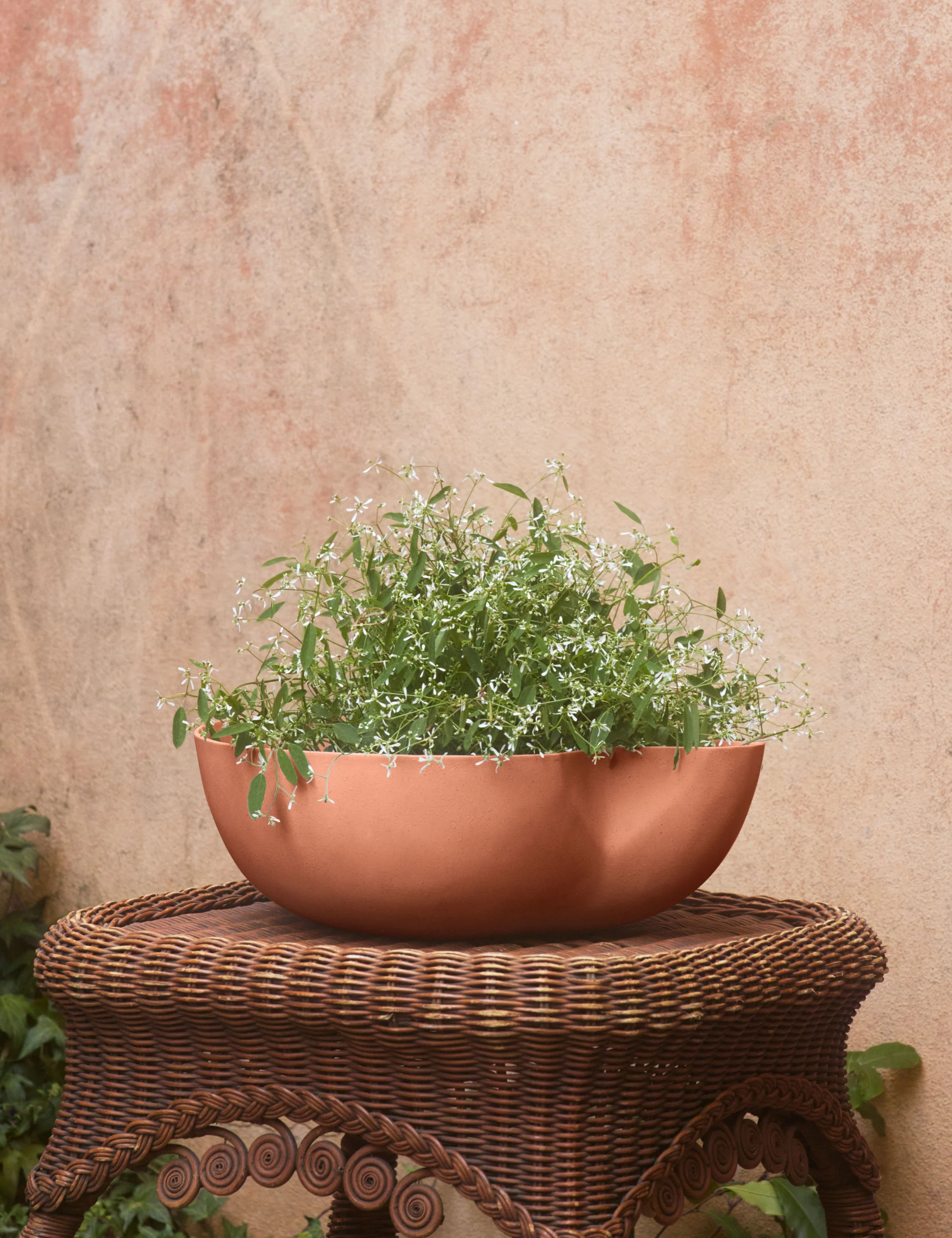 Dempsy Low Planter by Sarah Sherman Samuel - Image 10
