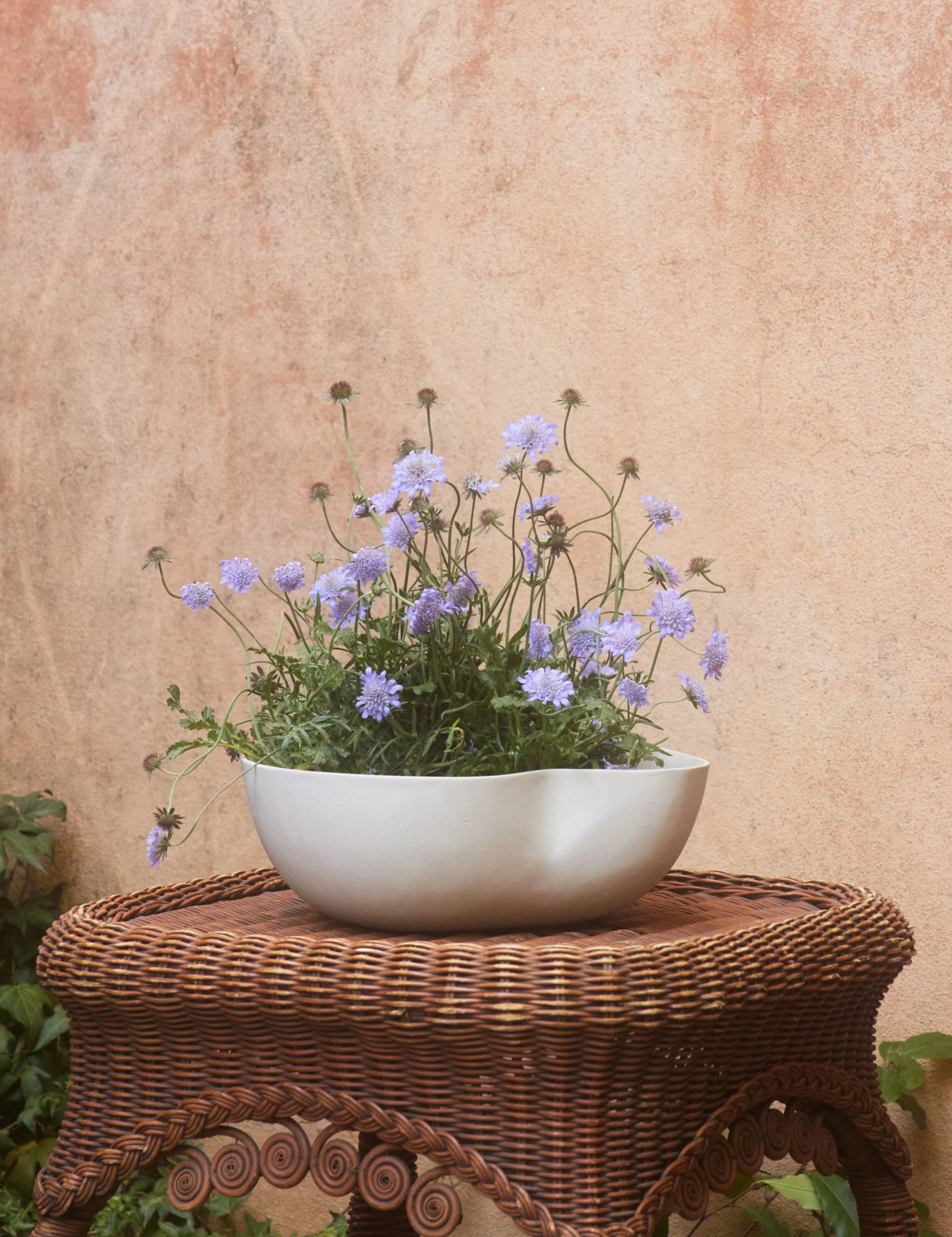 Dempsy Low Planter by Sarah Sherman Samuel - Image 2
