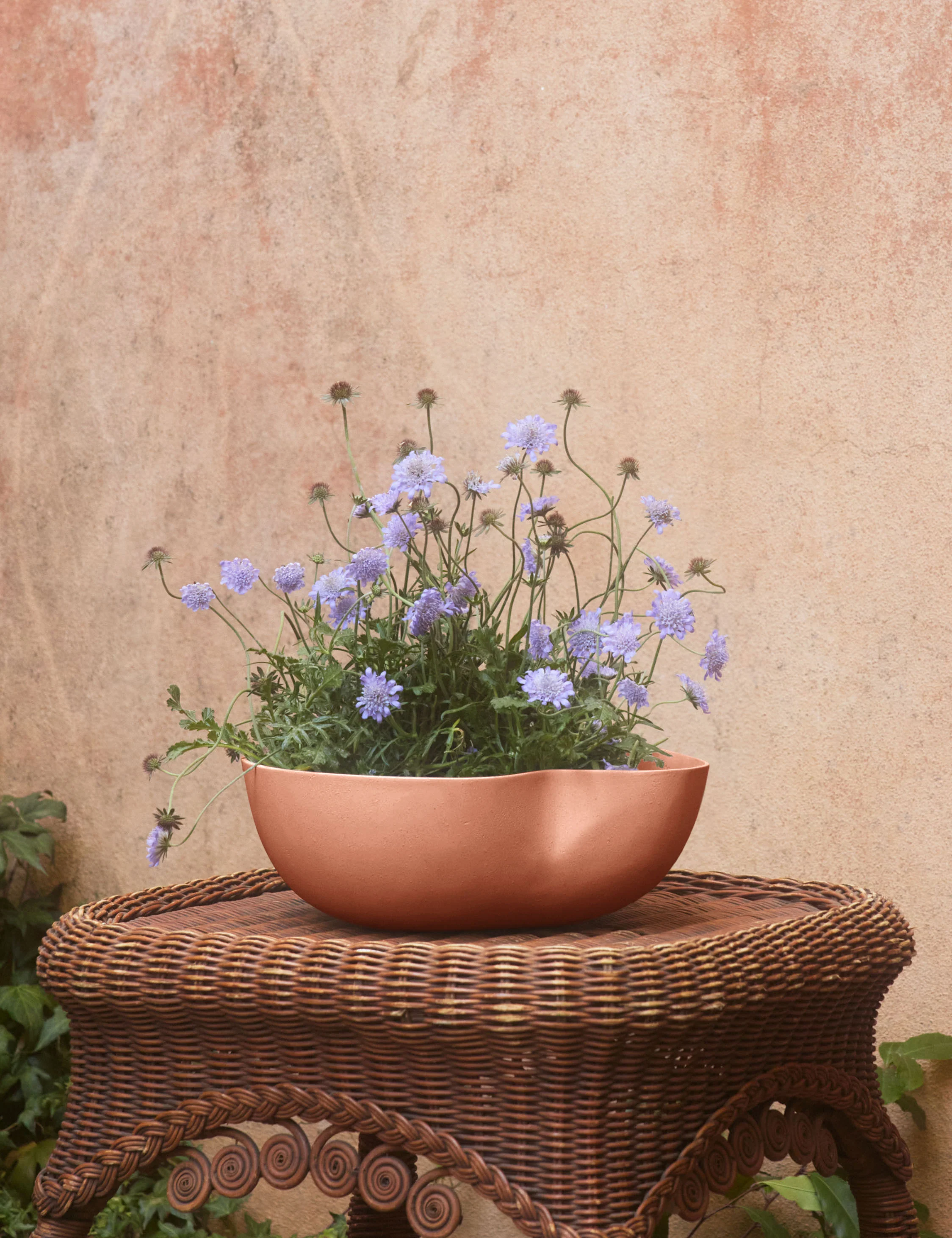 Dempsy Low Planter by Sarah Sherman Samuel - Image 4