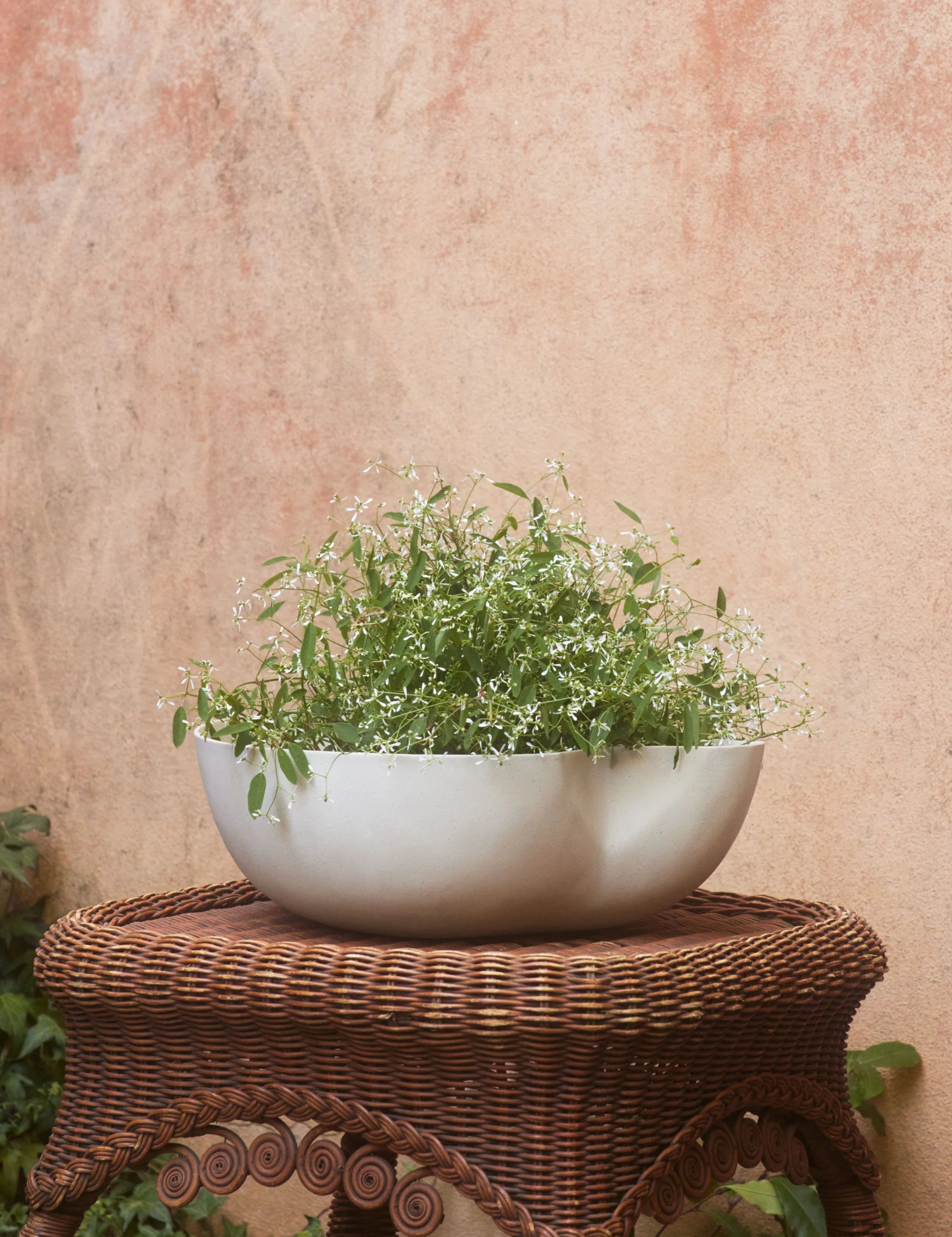 Dempsy Low Planter by Sarah Sherman Samuel - Image 7
