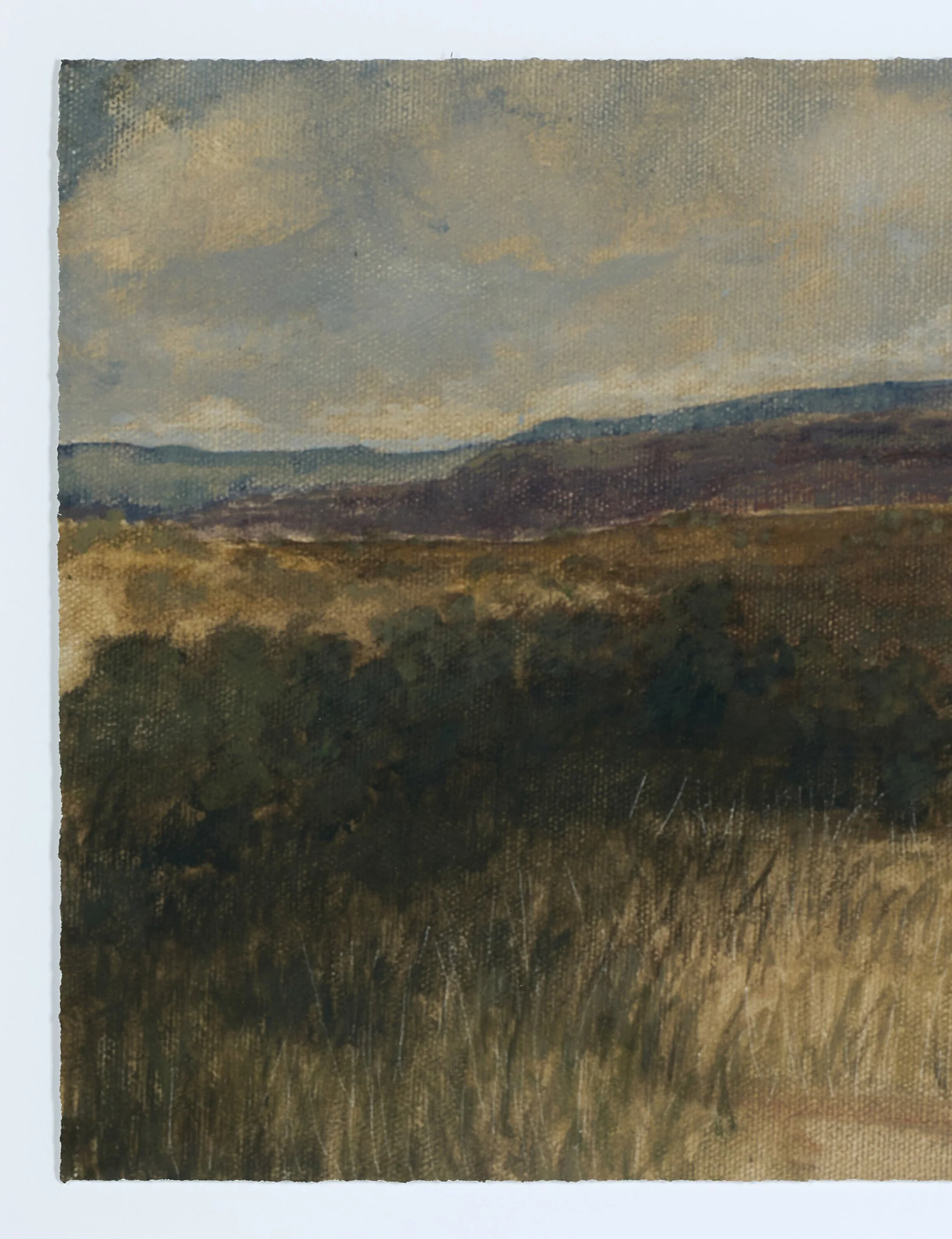 Desert Hues I by Aileen Fitzgerald - Image 4