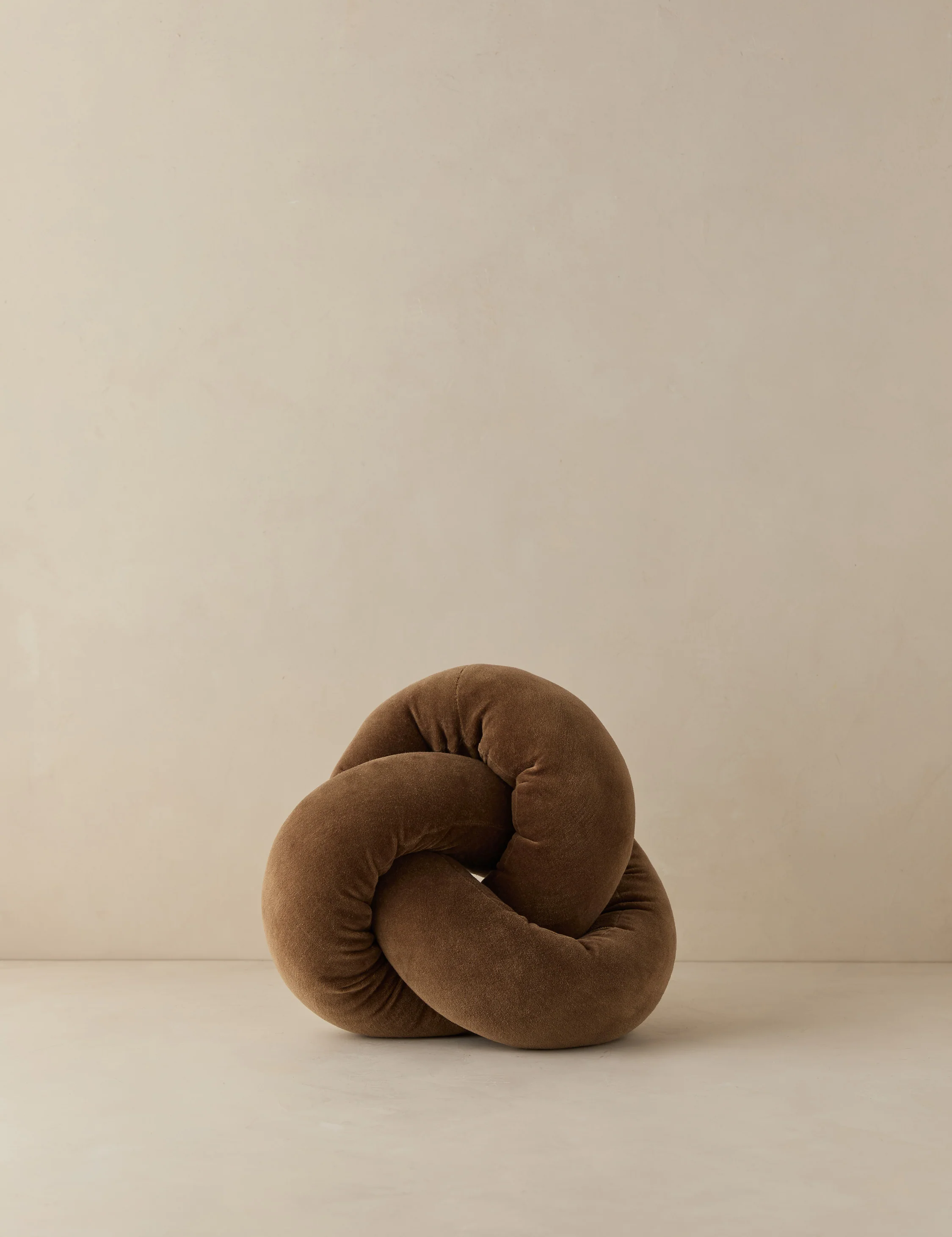 Dewey Velvet Pillow - Image 16