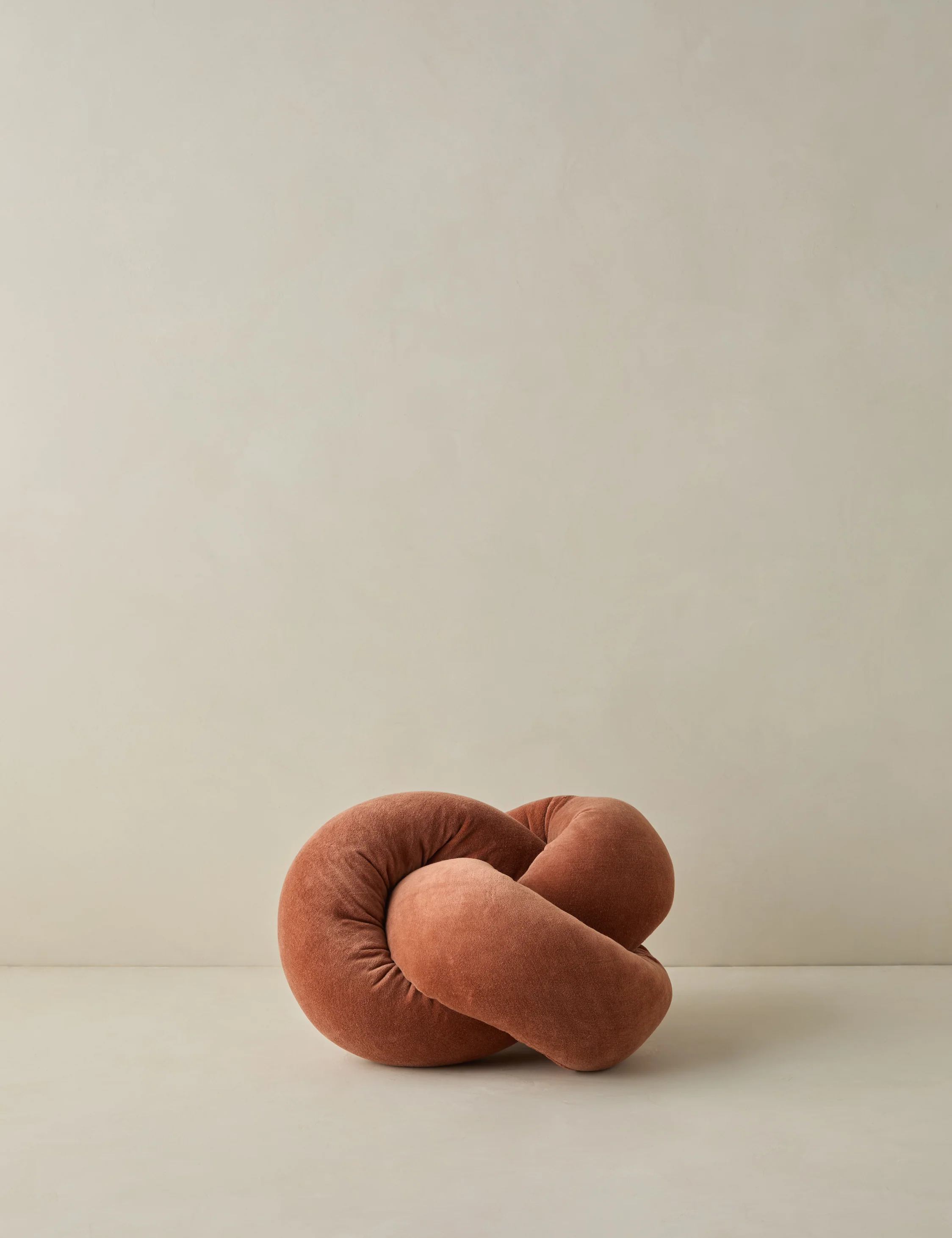 Dewey Velvet Pillow - Image 4