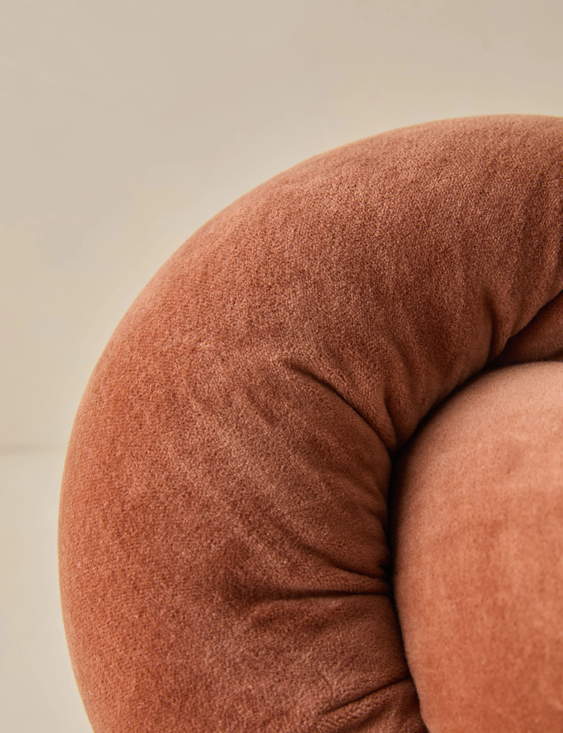 Dewey Velvet Pillow - Image 5