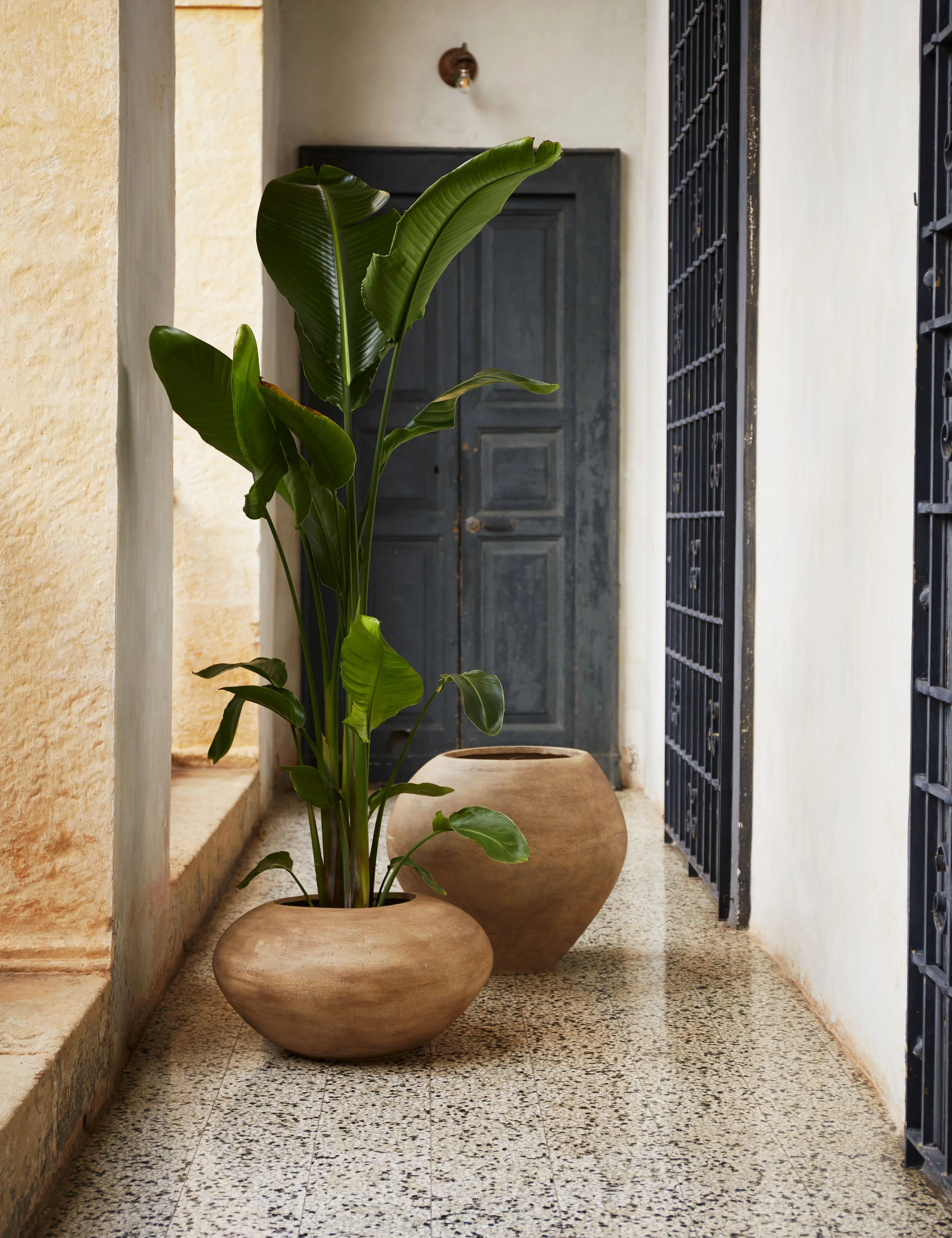 Dodou Planter Pot