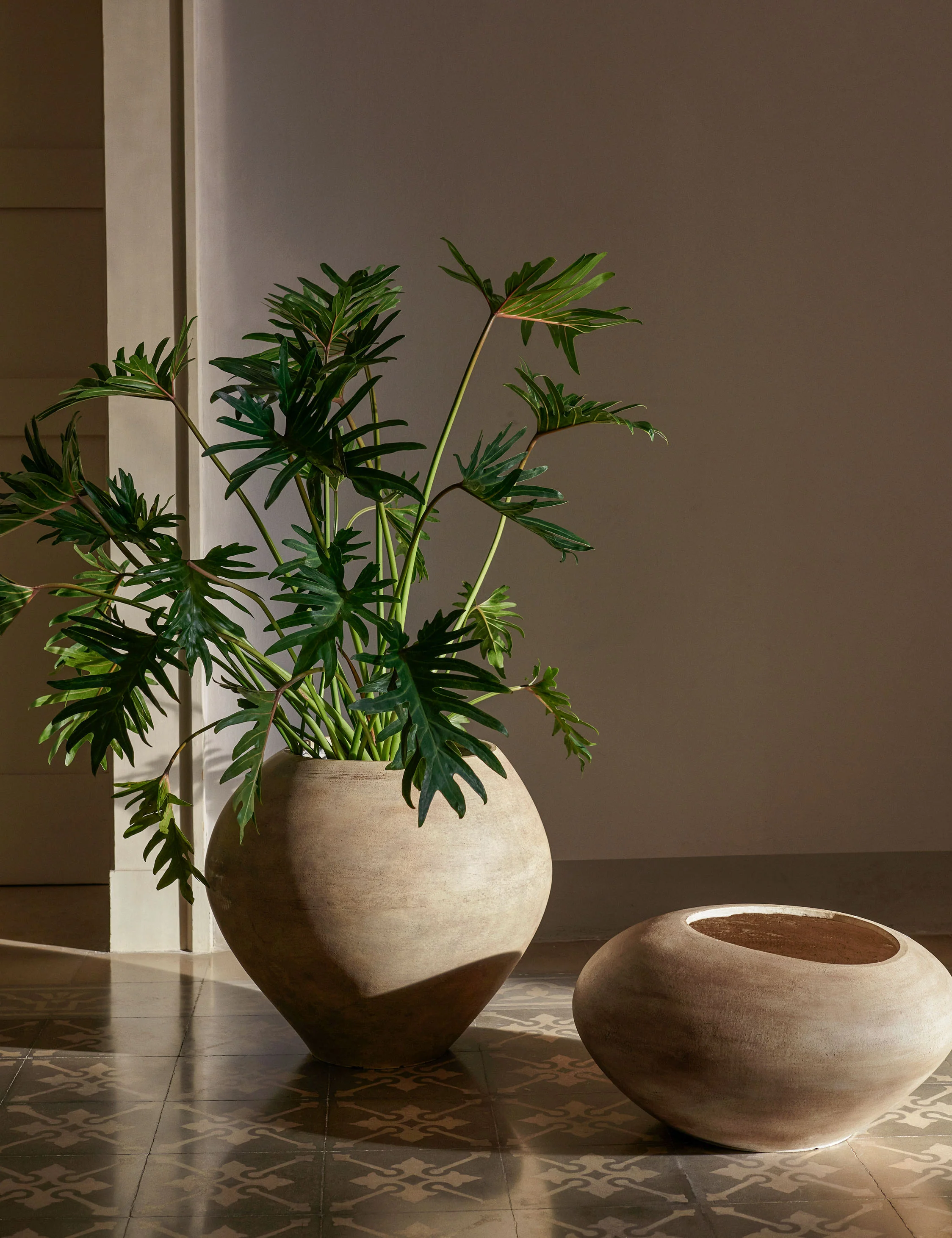 Dodou Planter Pot - Image 2