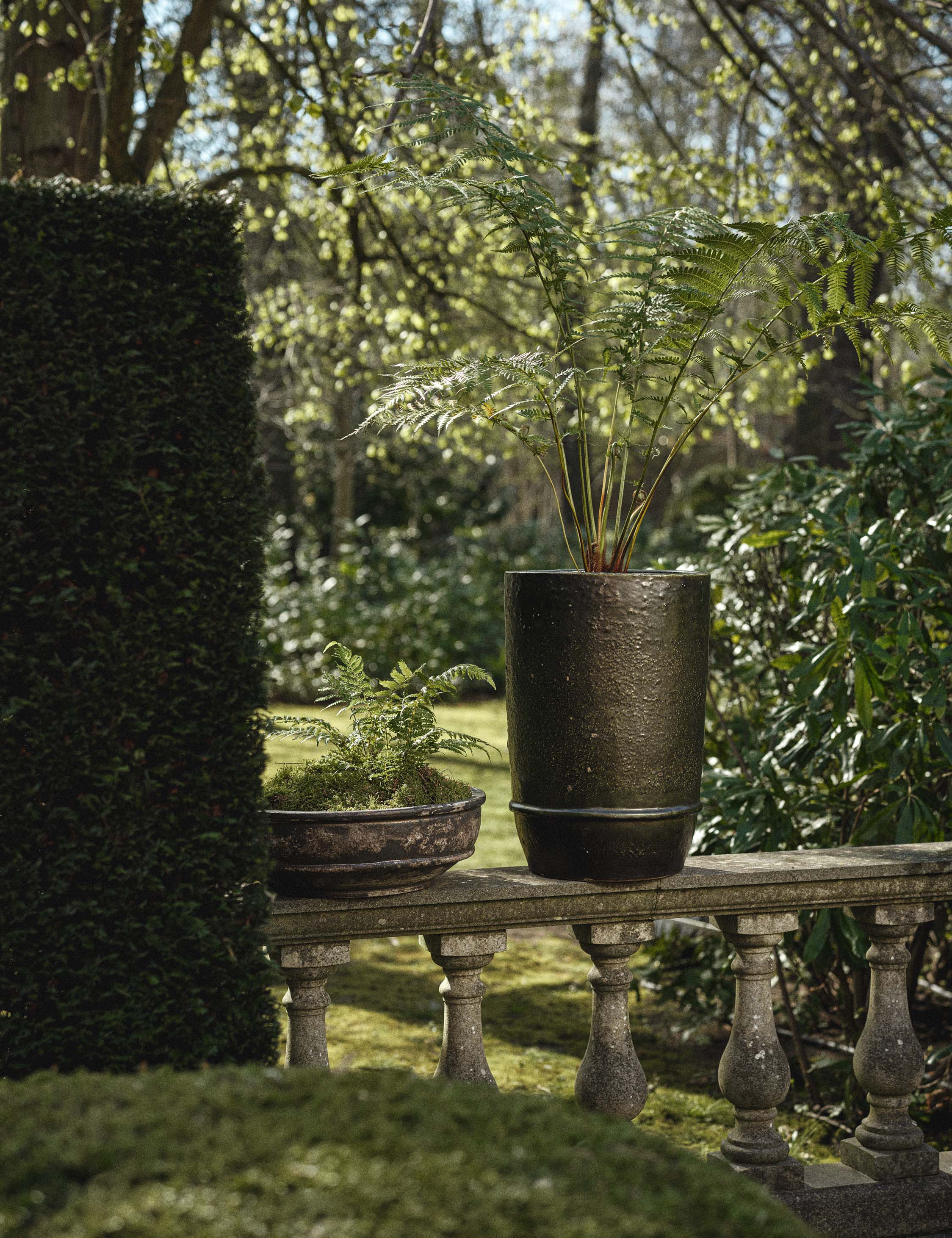Dune Planter Bowl by Kelly Wearstler x Serax