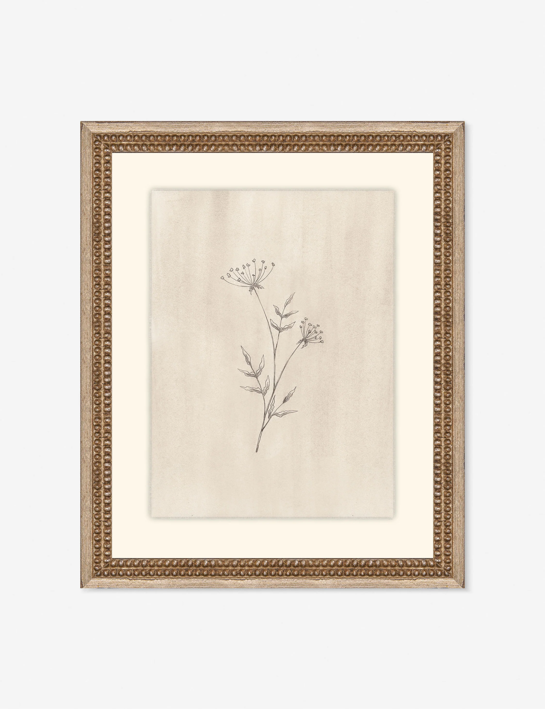 Elegant Botanical IV Wall Art by Makai Howell