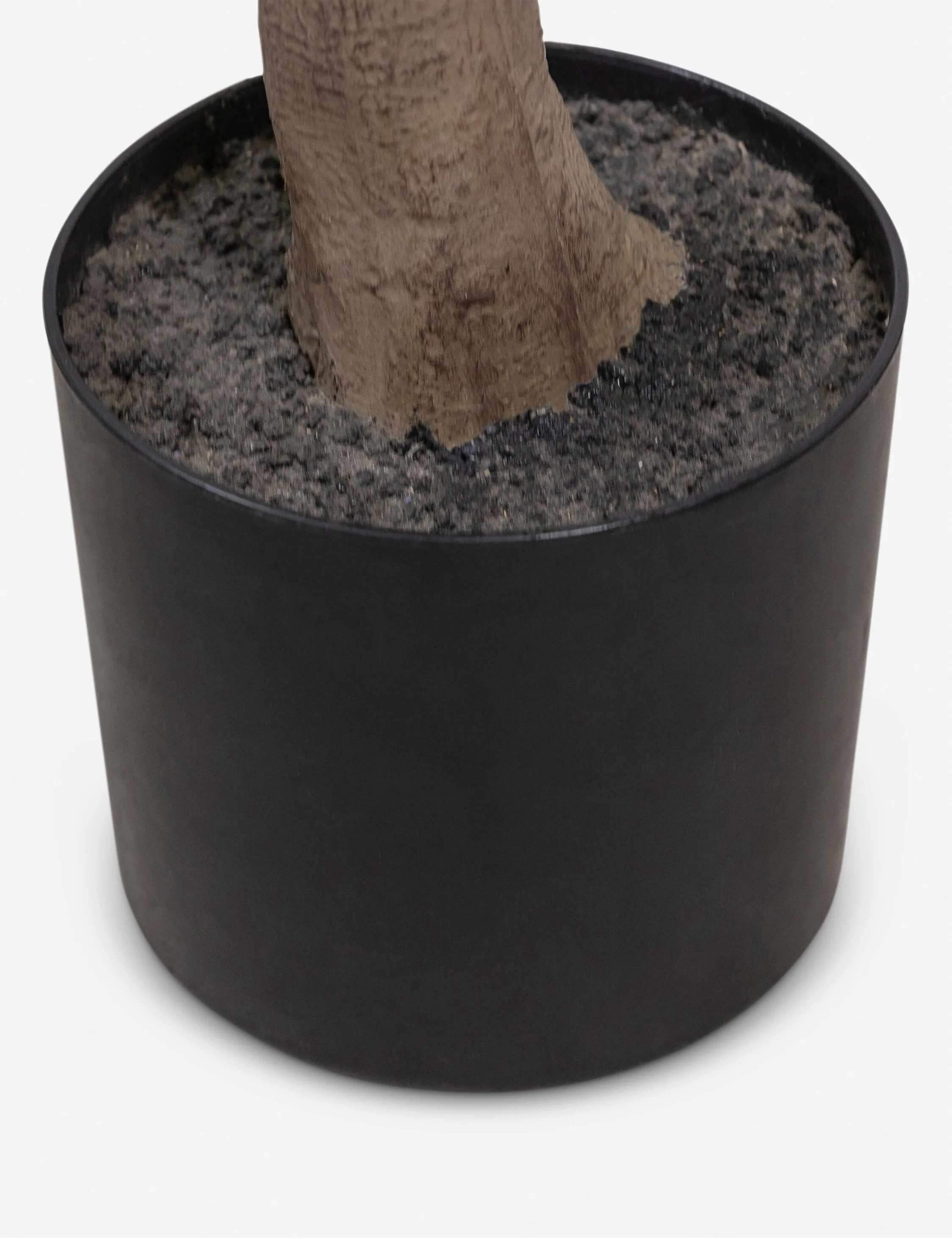 Faux Aralia Tree - Image 11