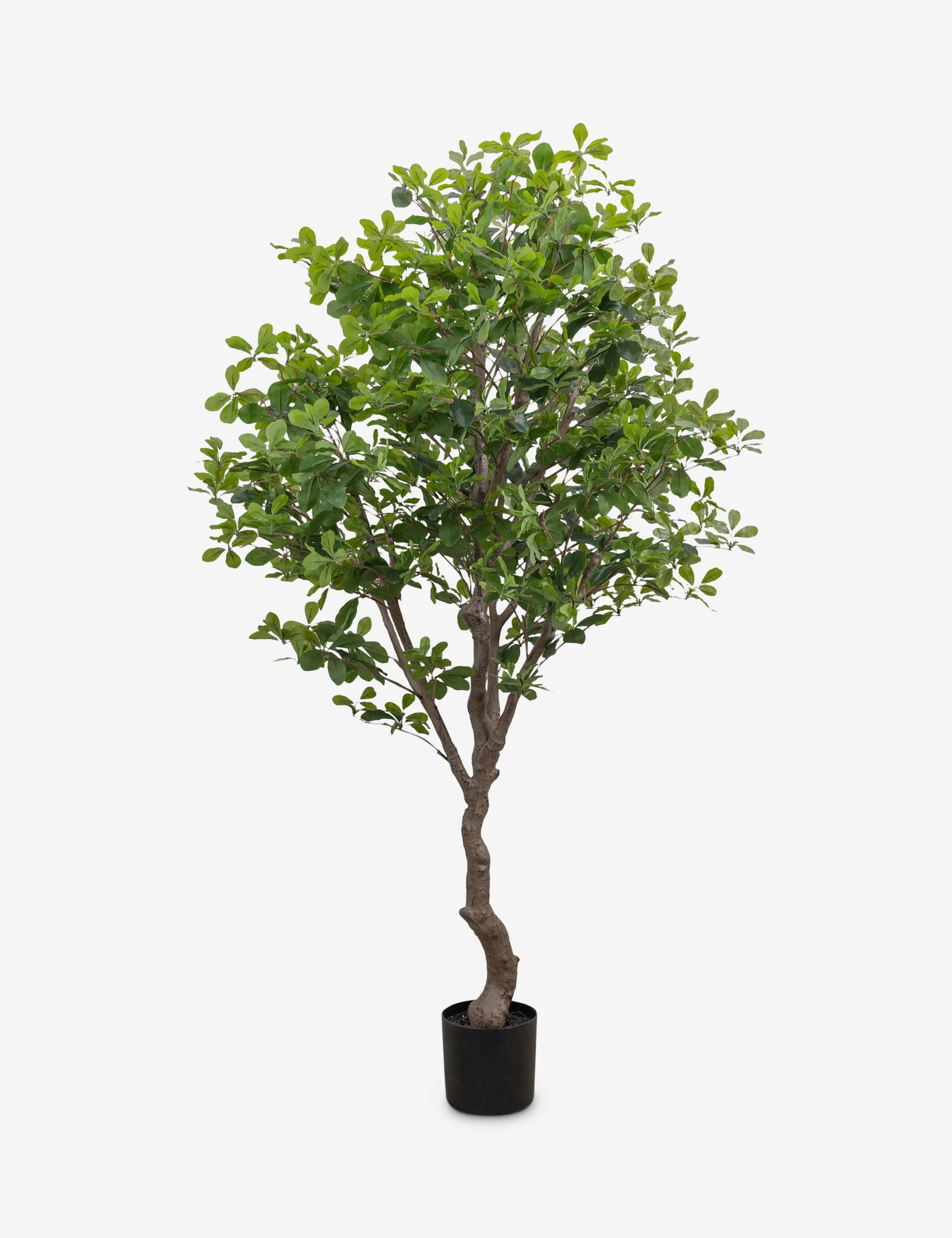 Faux Aralia Tree - Image 2
