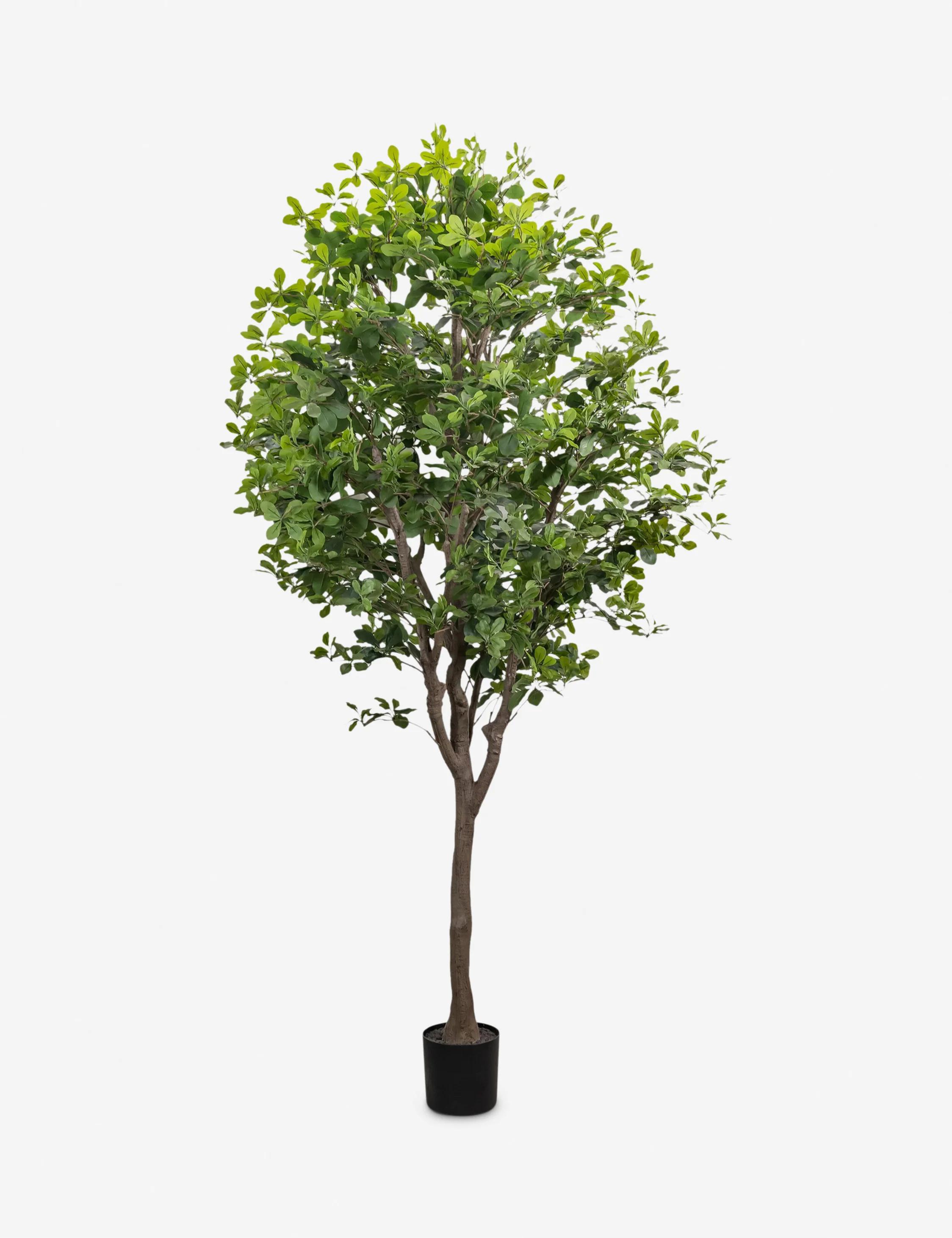 Faux Aralia Tree - Image 8