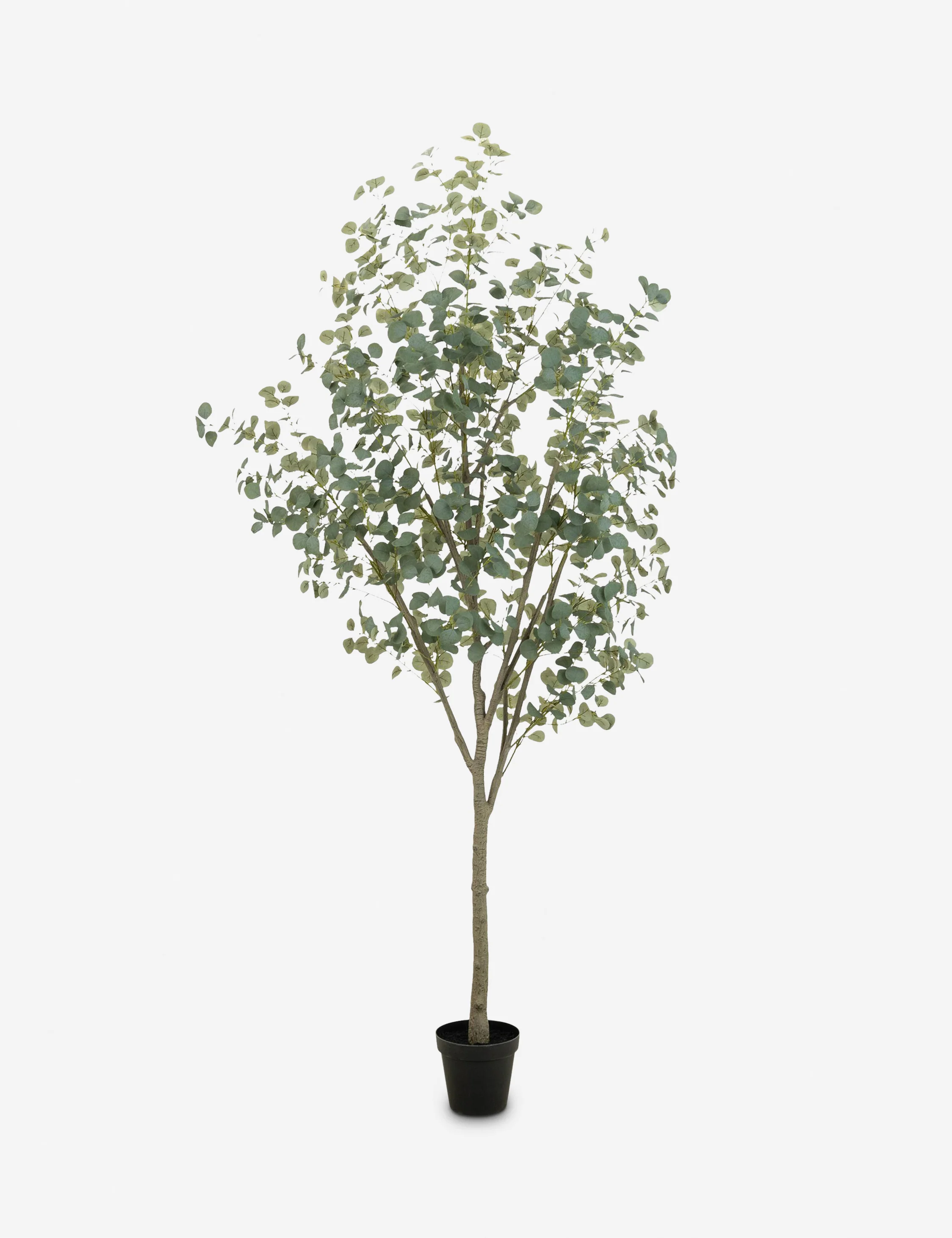 Faux Eucalyptus Tree - Image 7