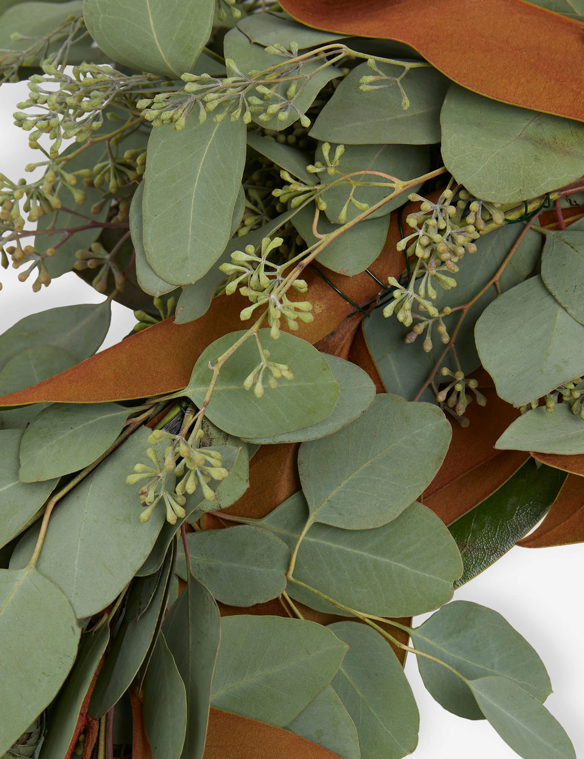 Fresh Handmade Magnolia and Seeded Eucalyptus Garland - Image 2