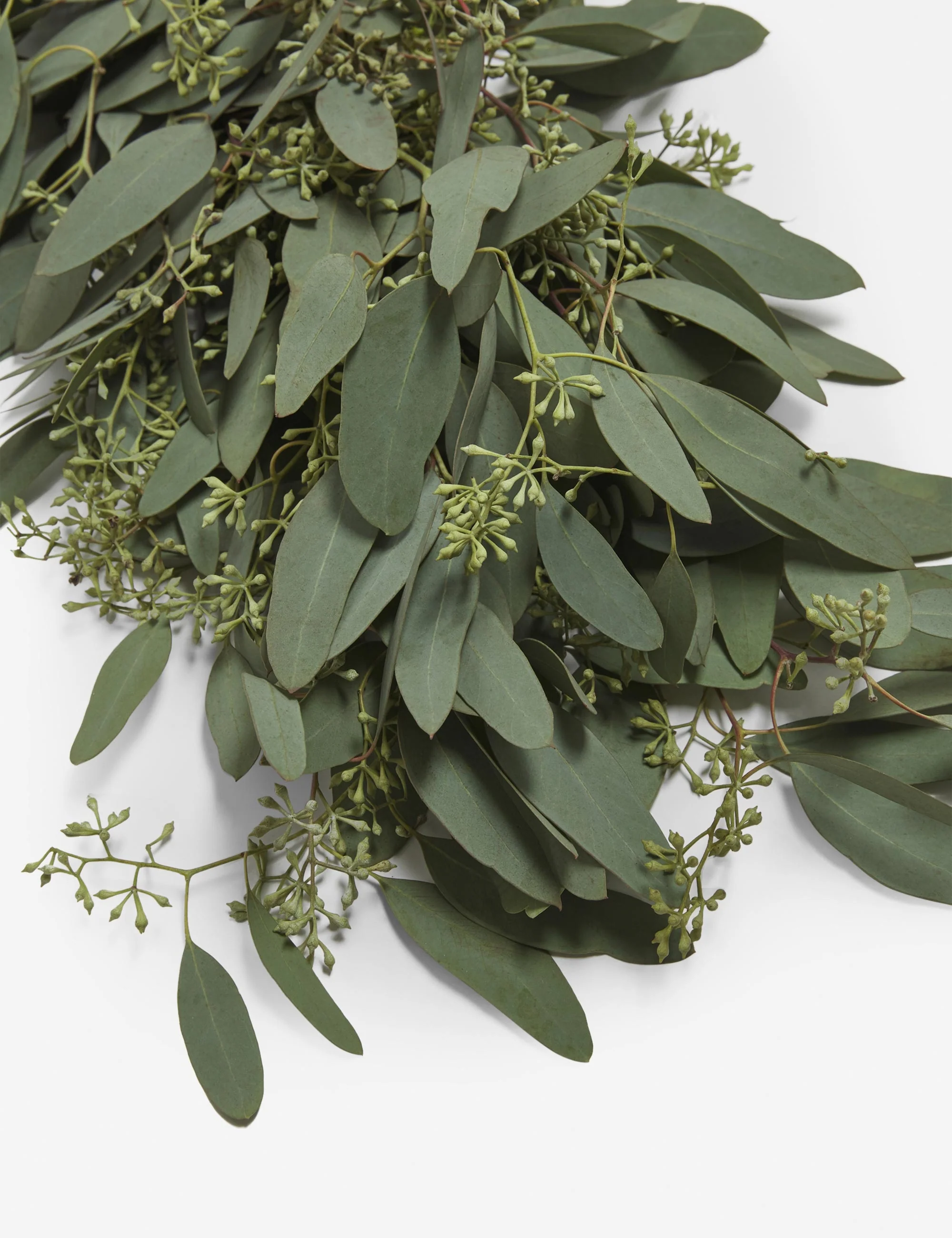 Fresh Handmade Seeded Eucalyptus Garland - Image 9